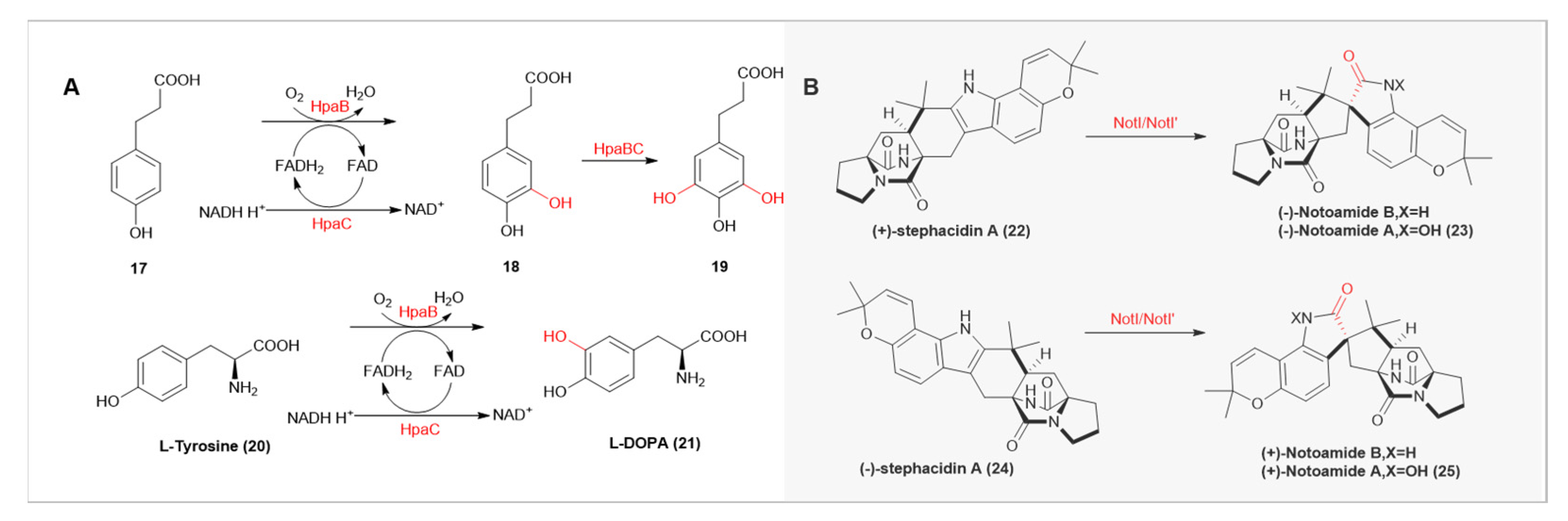 Catalysts 13 01495 g004