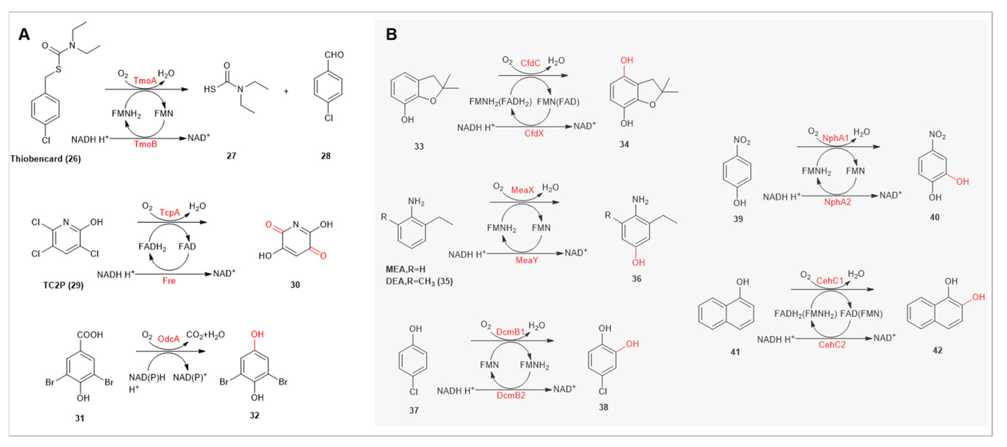 Catalysts 13 01495 g005