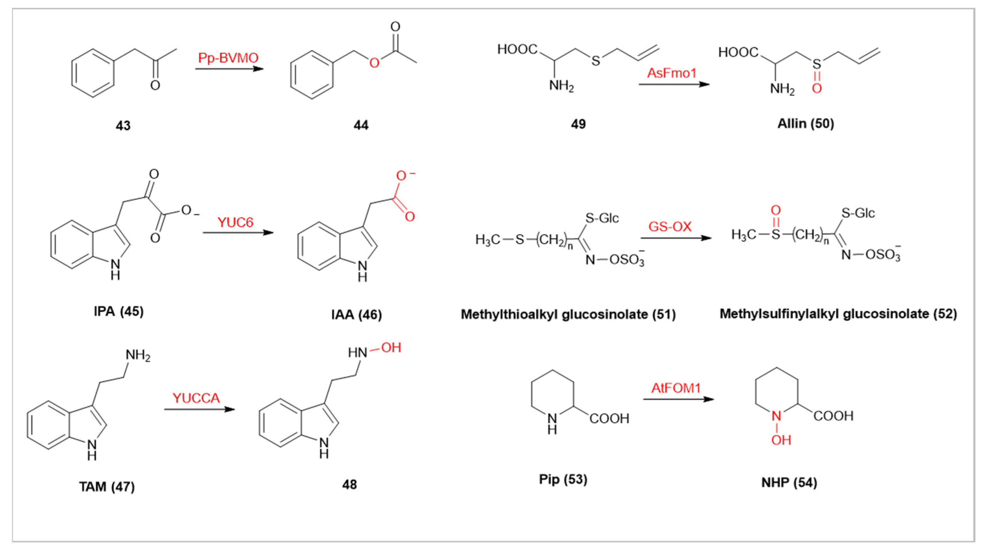 Catalysts 13 01495 g006