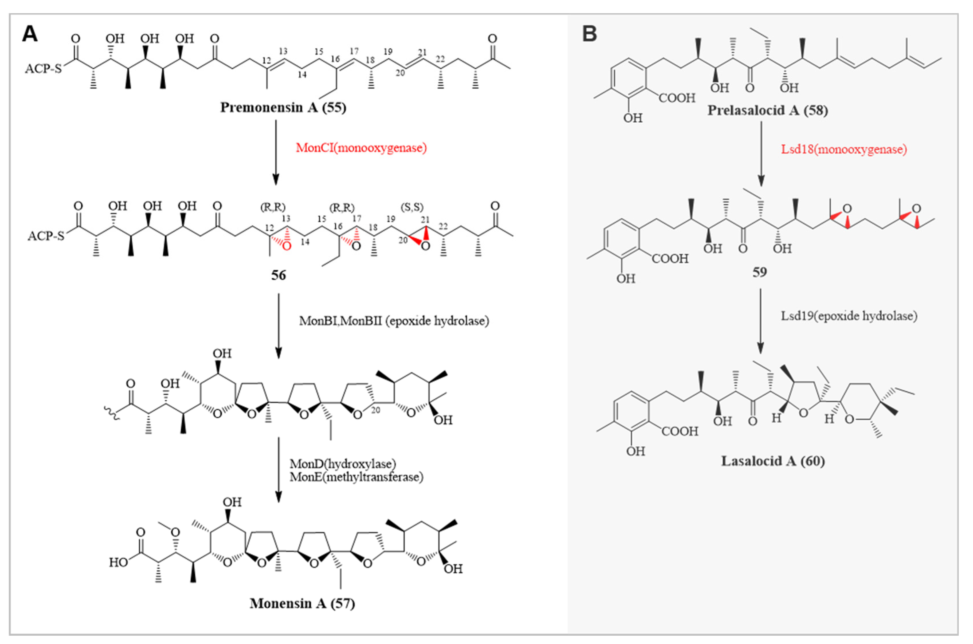 Catalysts 13 01495 g007