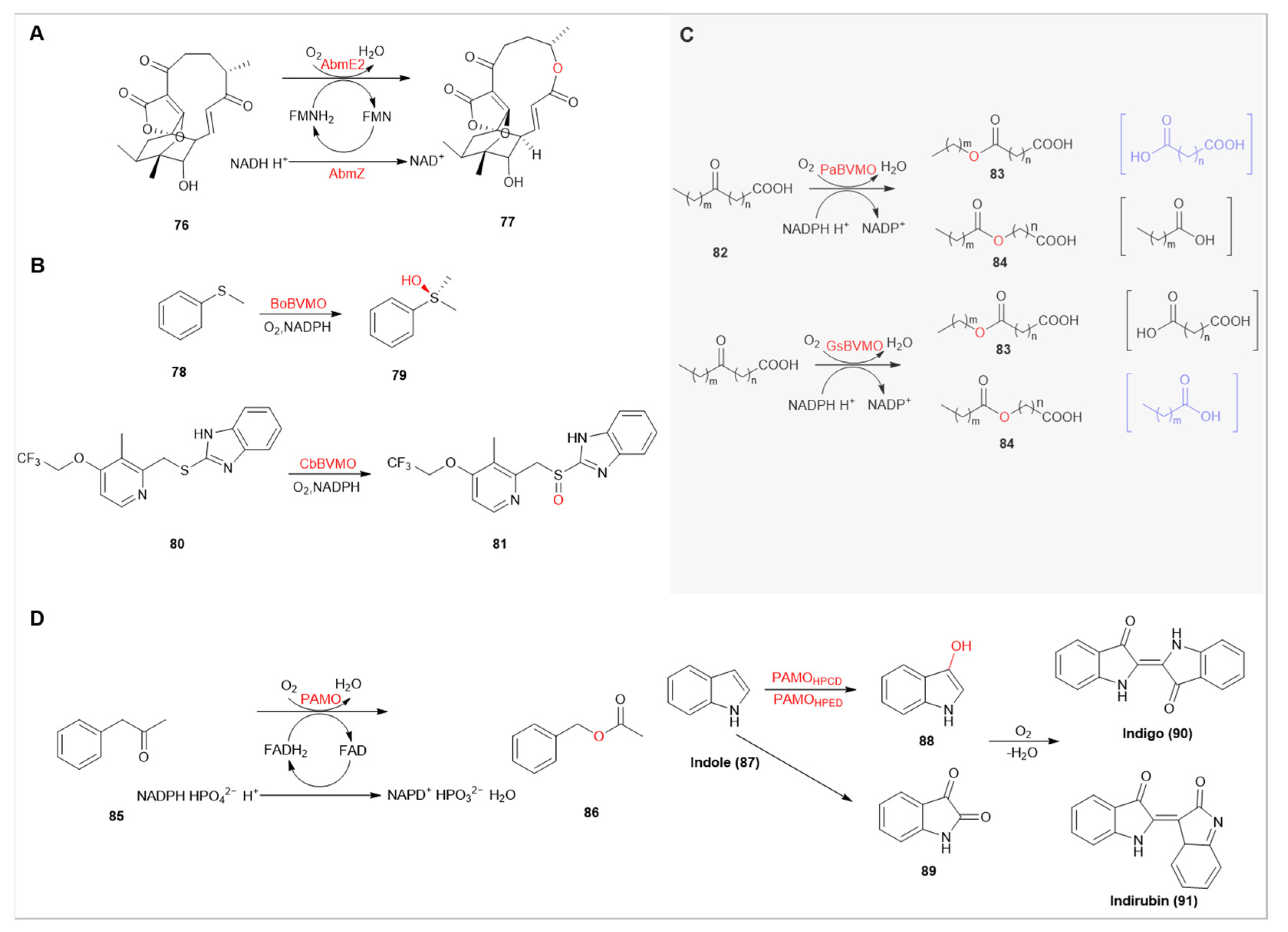 Catalysts 13 01495 g009