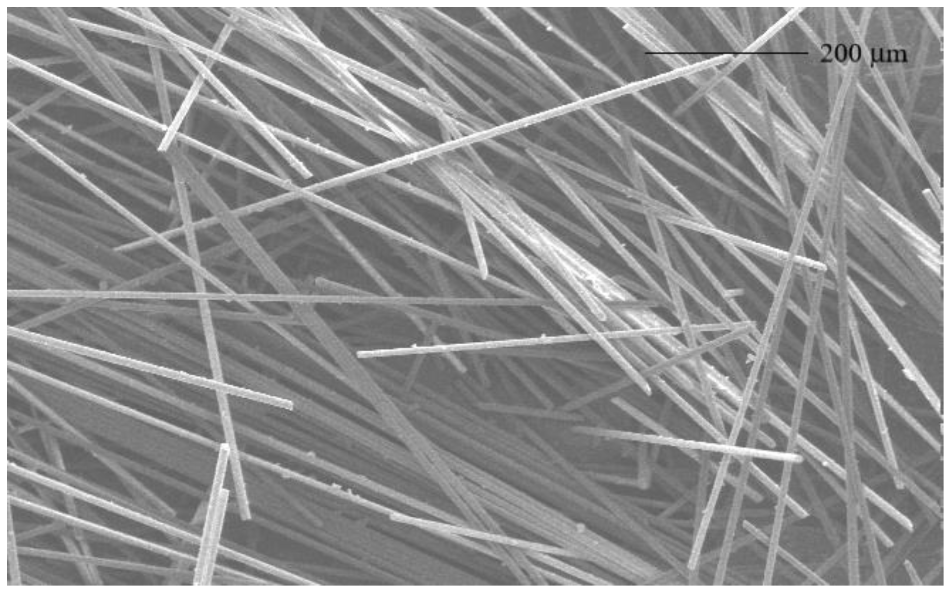 Catalysts 13 01503 g001