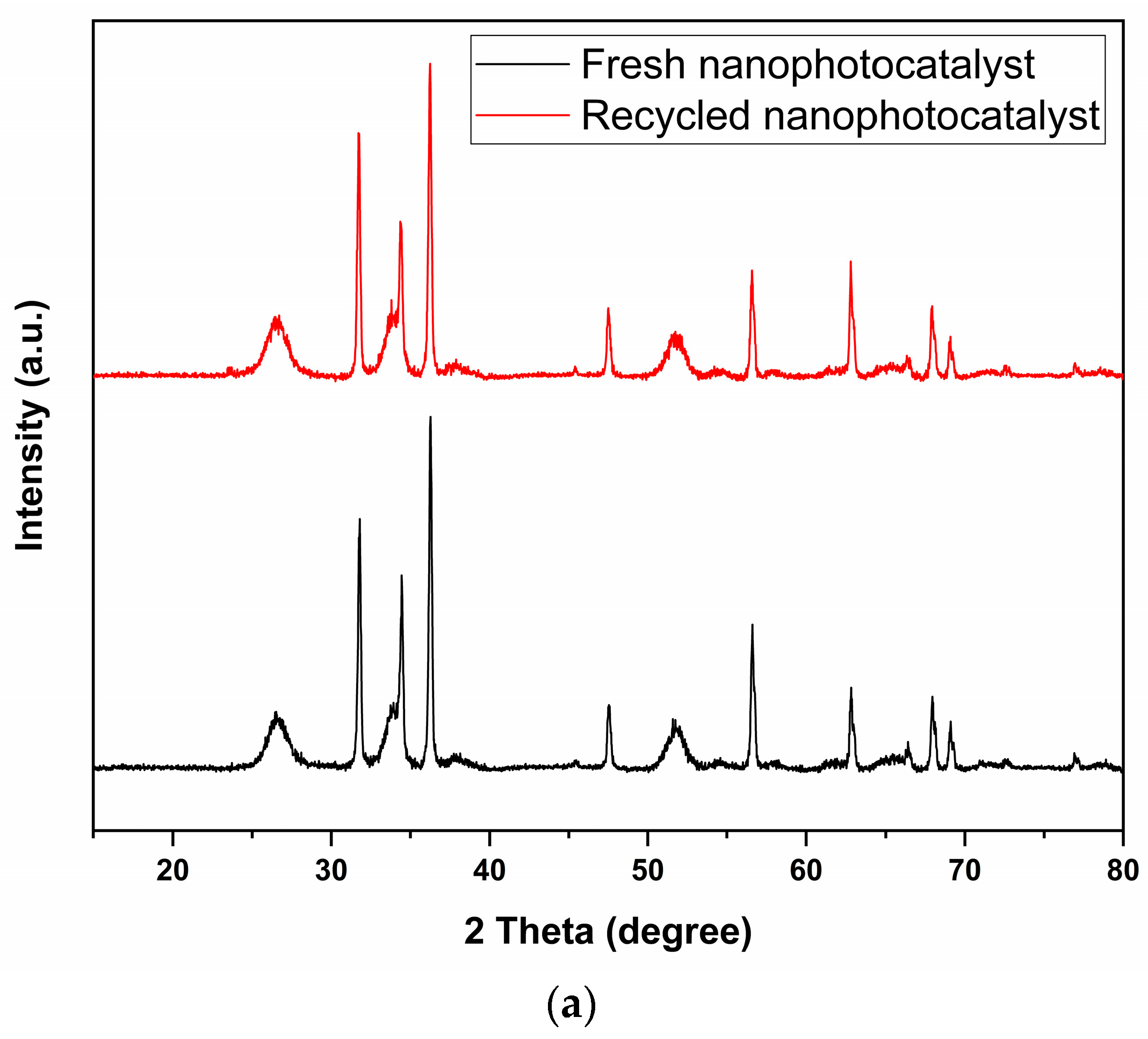 Catalysts 13 01509 g012a Catalysts 13 01509 g012a