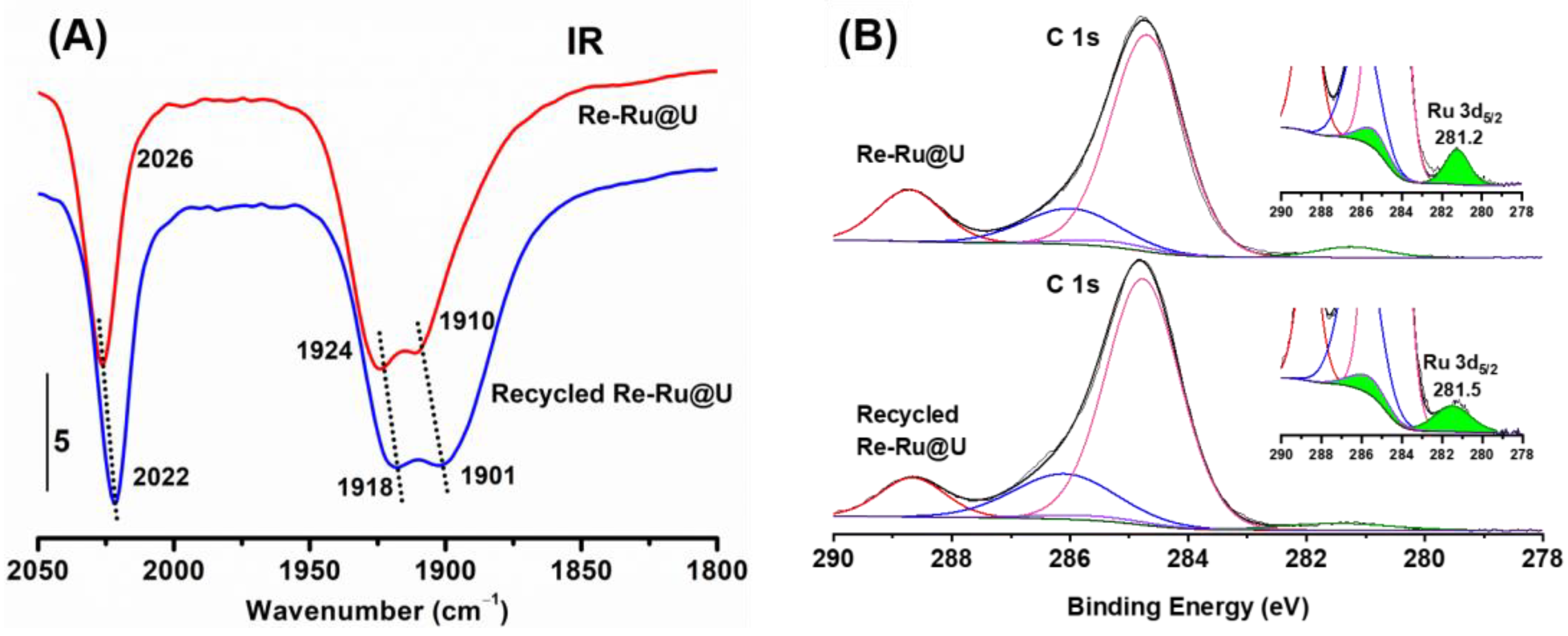 Catalysts 13 01510 g005 Catalysts 13 01510 g005