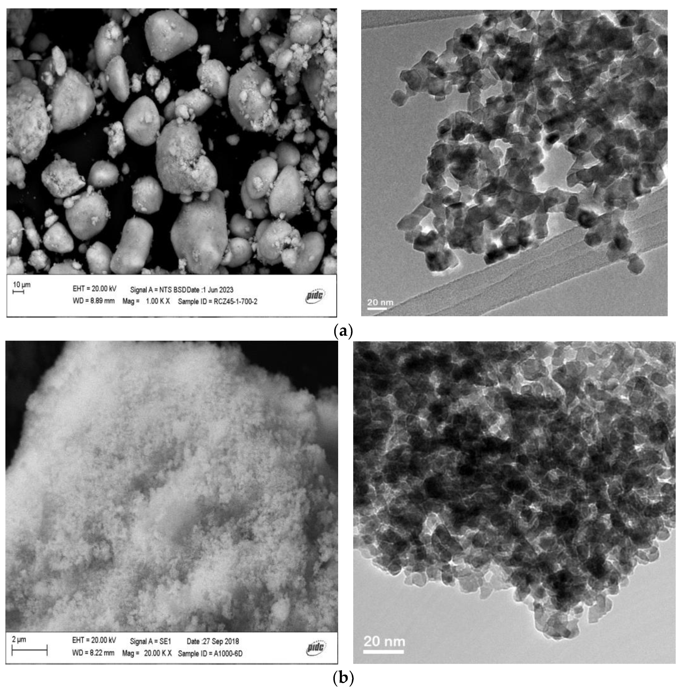 Catalysts 13 01511 g002 Catalysts 13 01511 g002