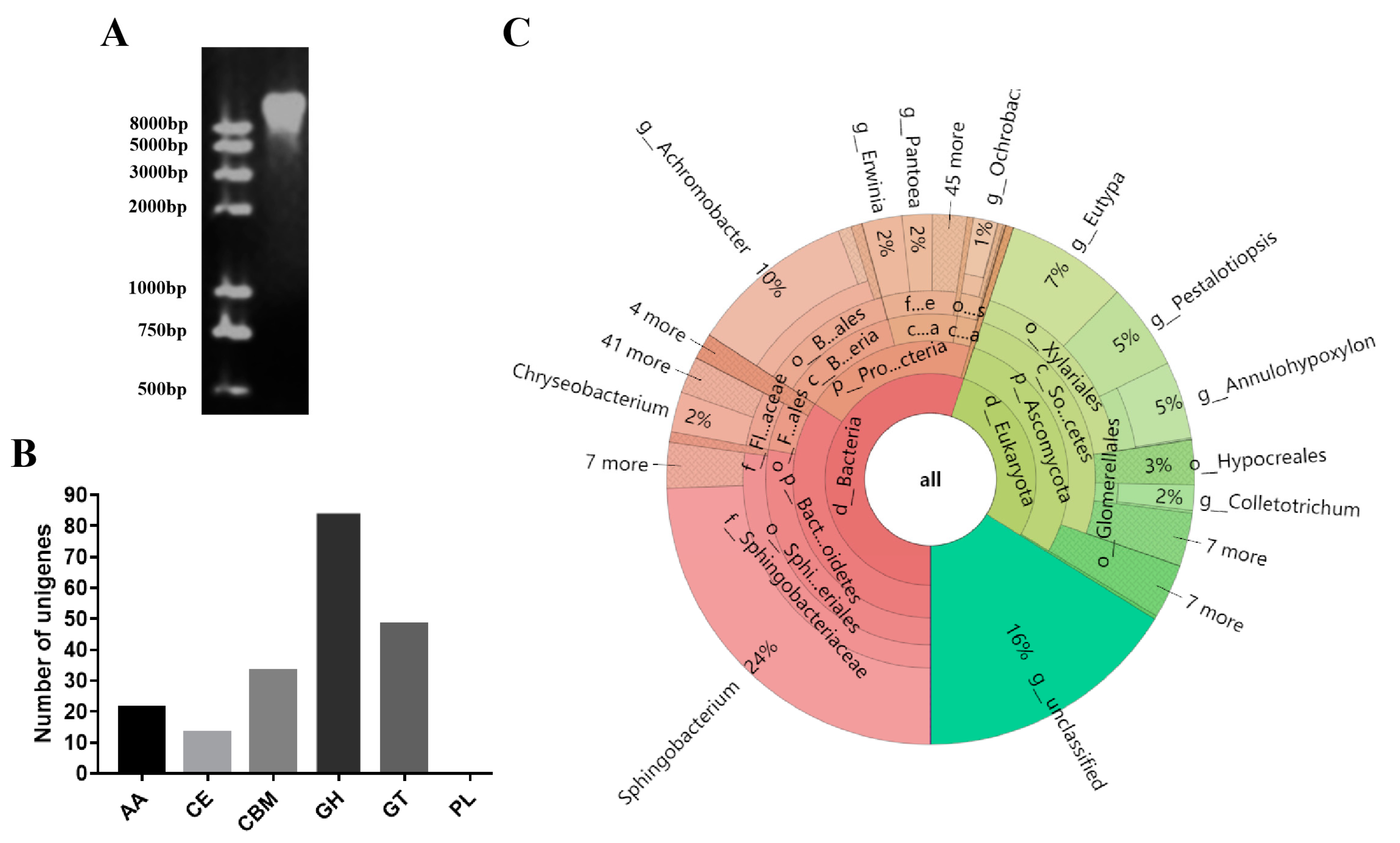 Catalysts 14 00015 g001