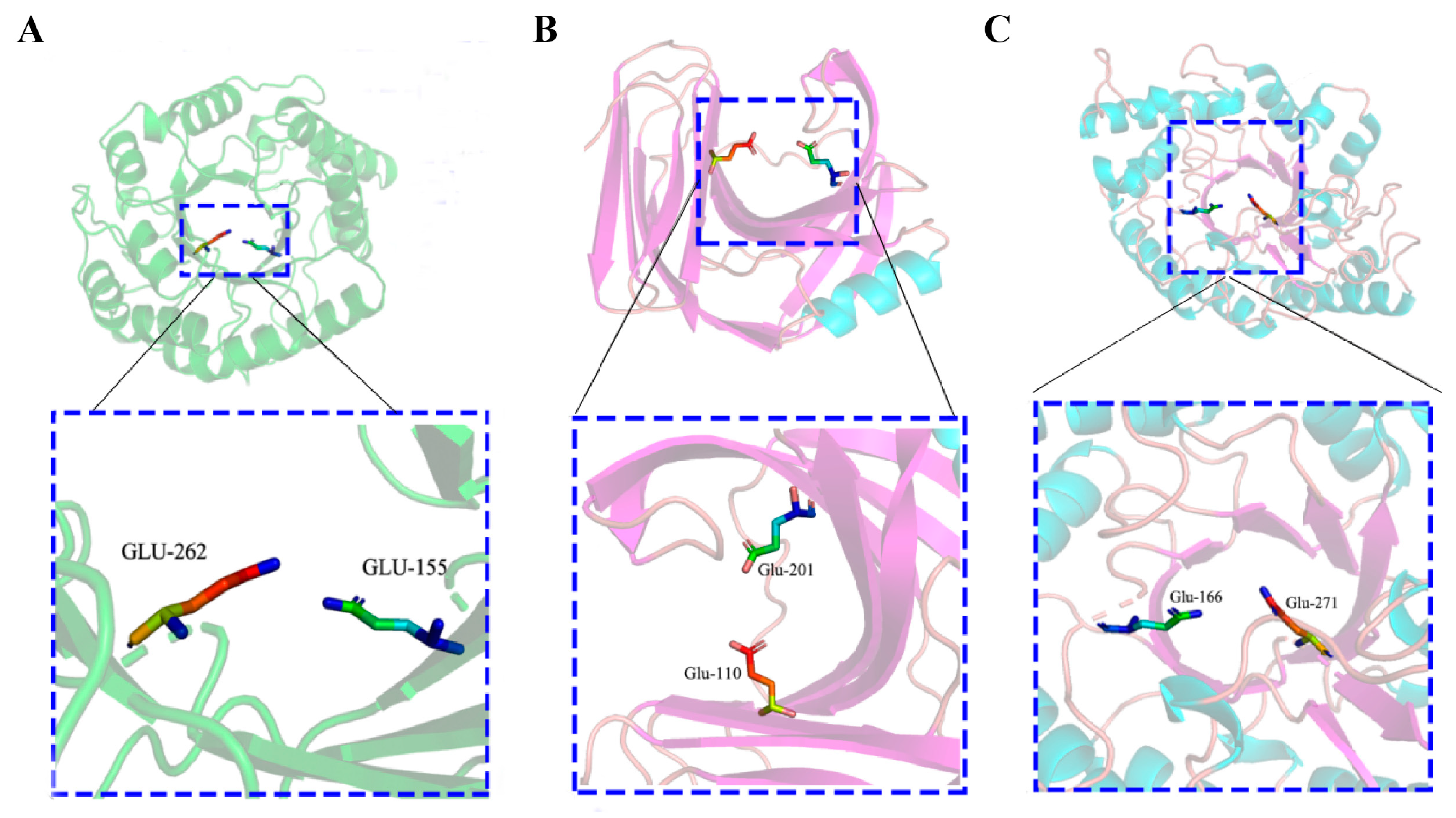 Catalysts 14 00015 g002