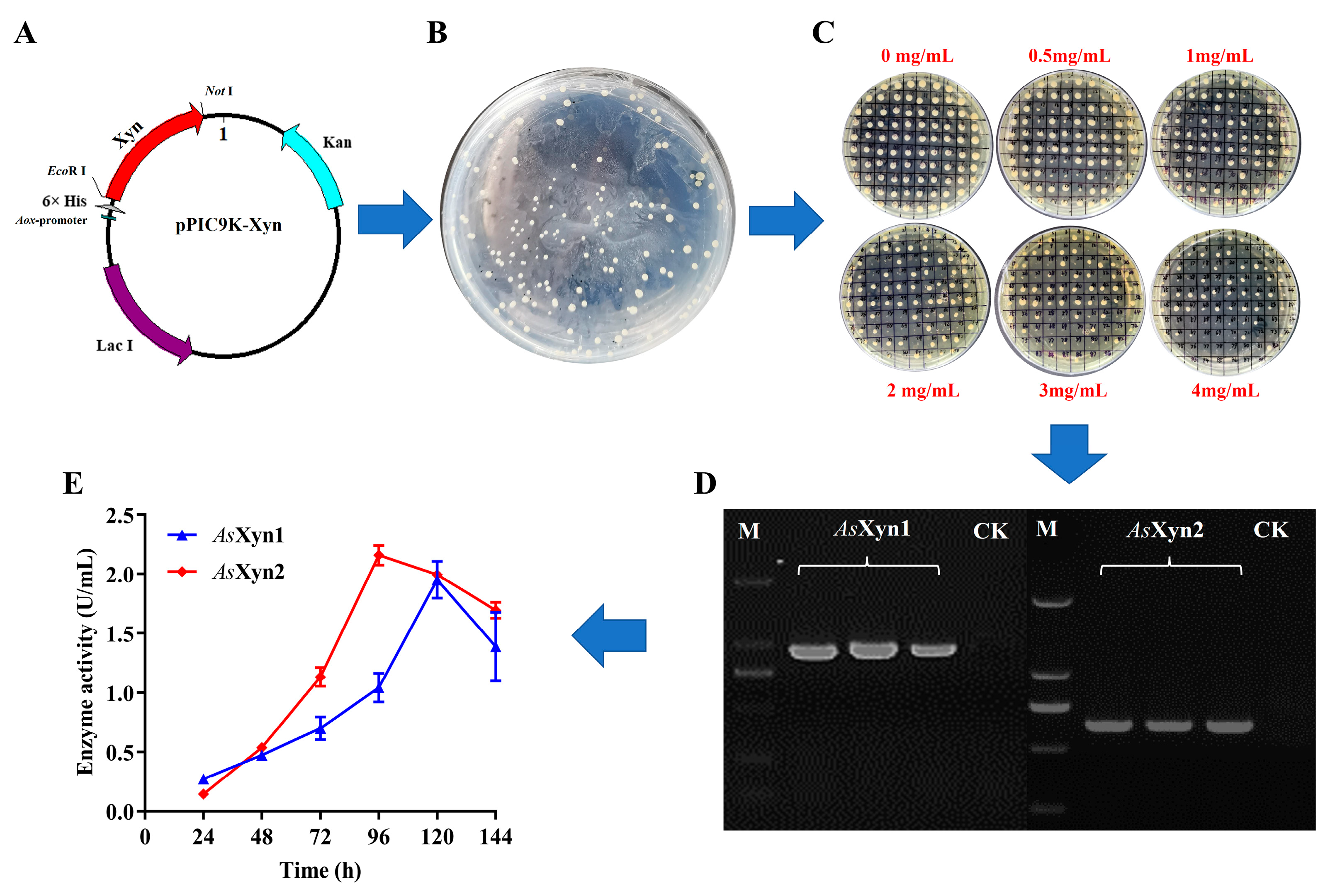 Catalysts 14 00015 g004