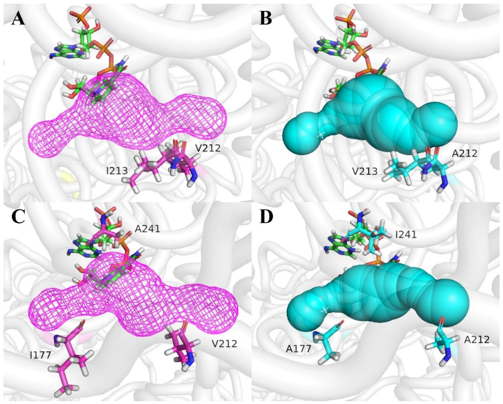 Catalysts 14 00023 g003