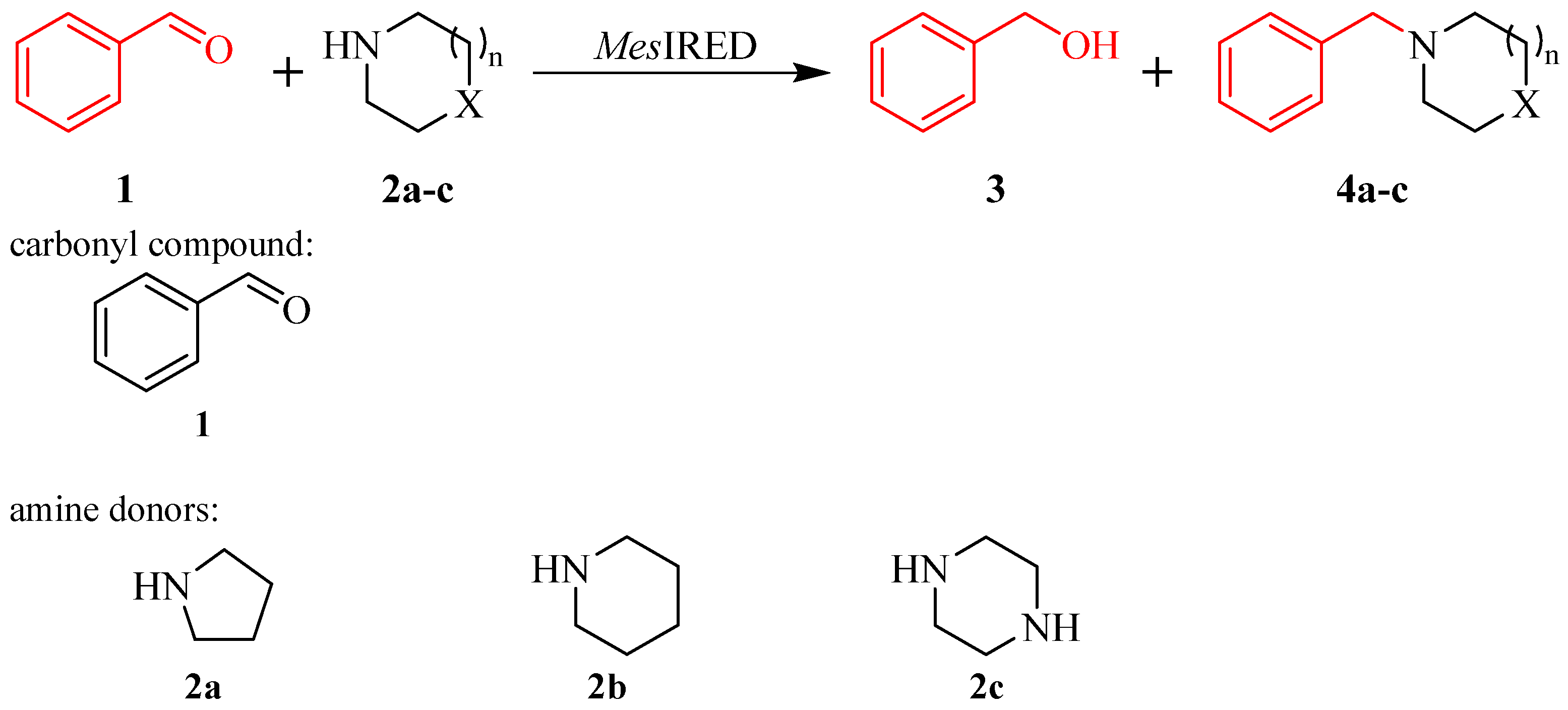 Catalysts 14 00023 sch002