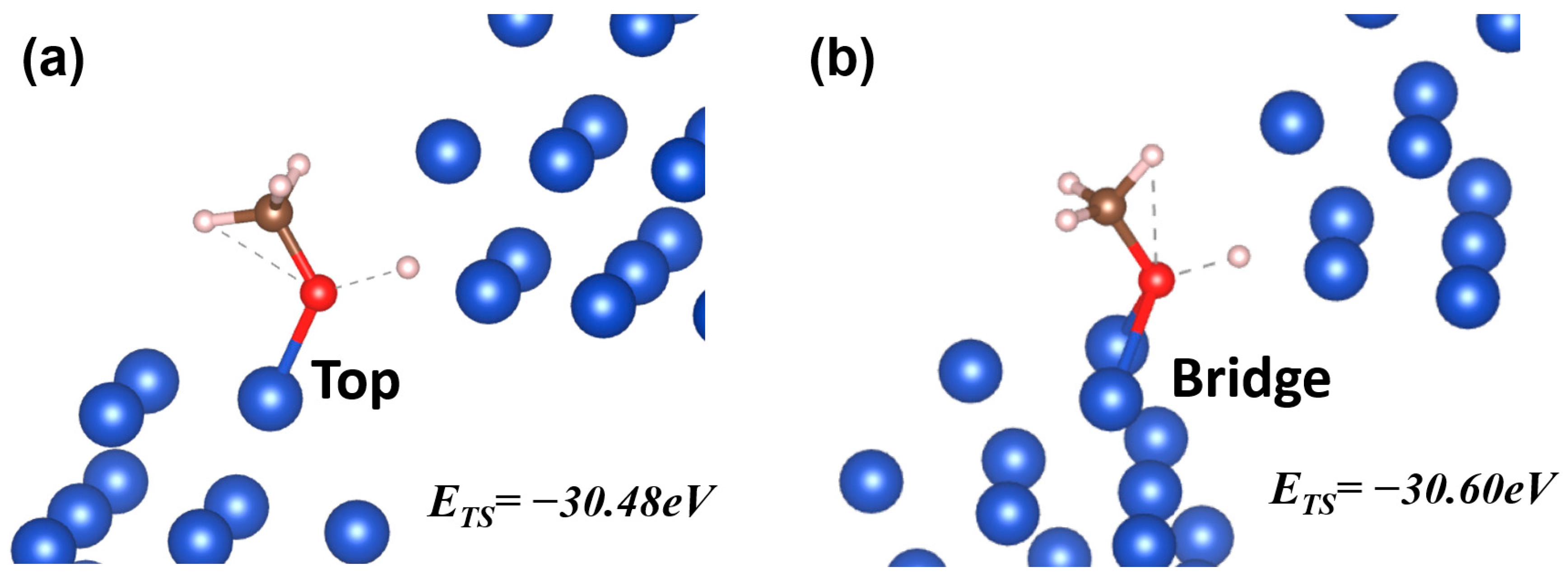 Catalysts 14 00034 g004