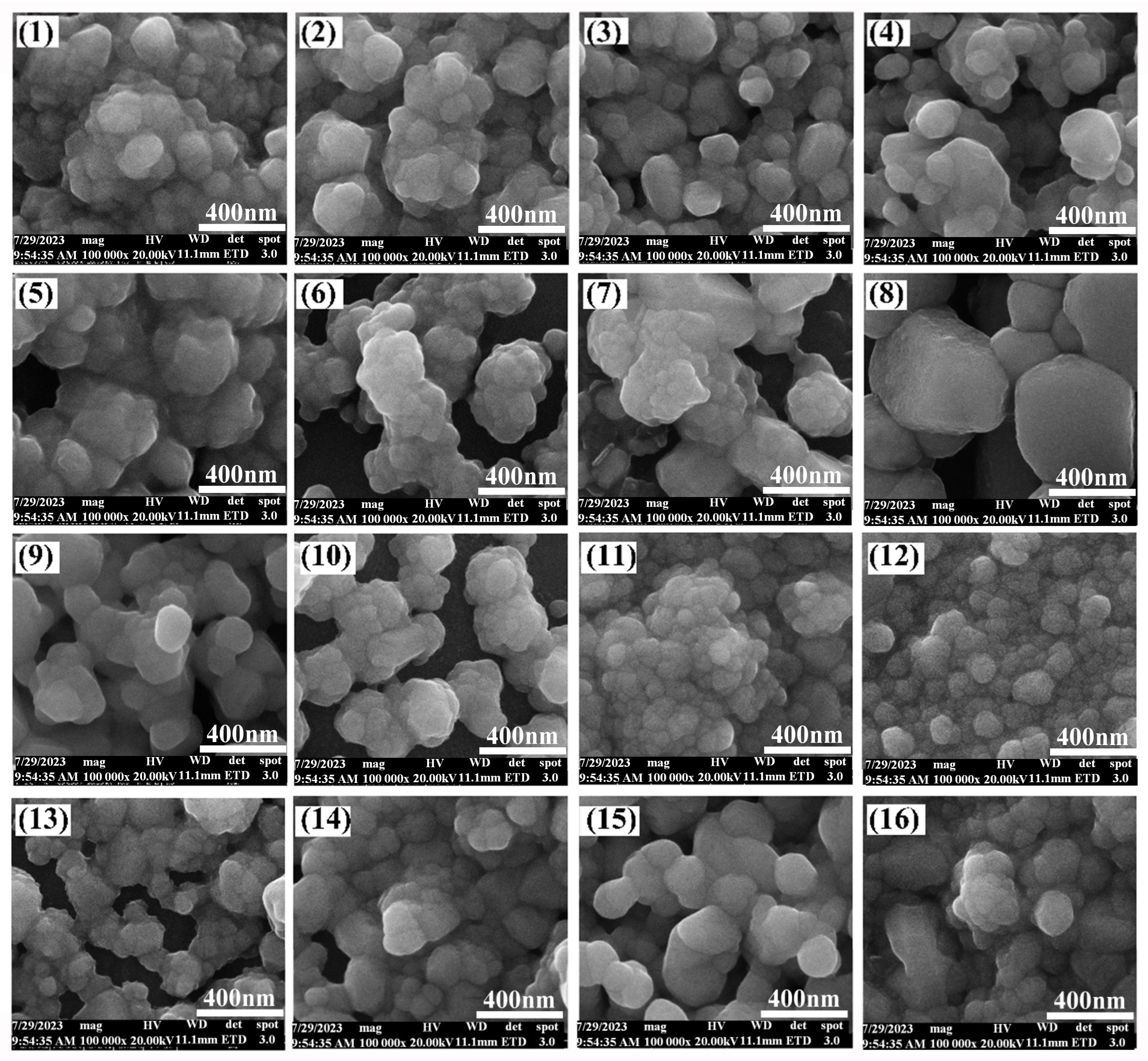 Catalysts 14 00039 g001