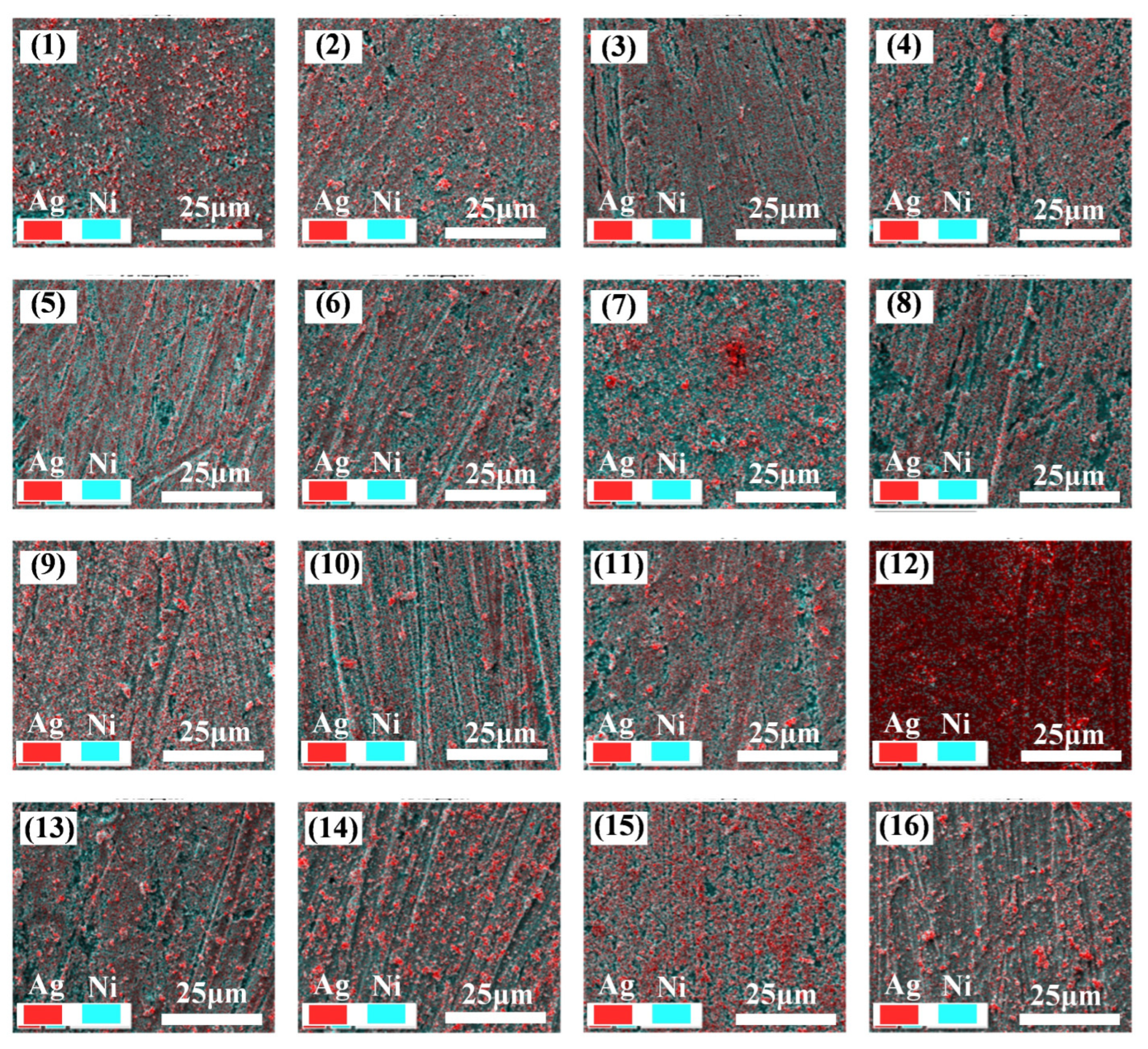 Catalysts 14 00039 g002