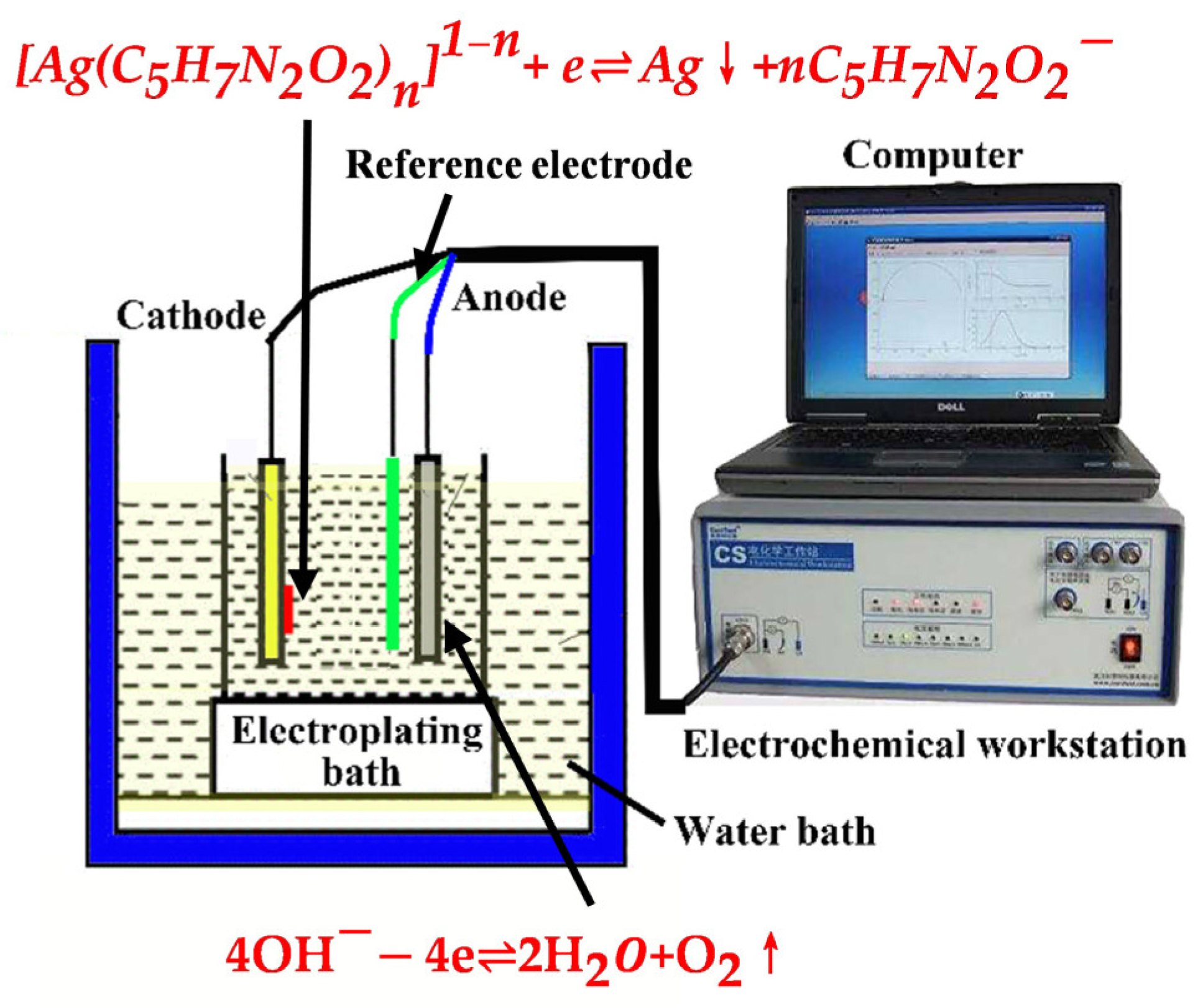 Catalysts 14 00039 g005
