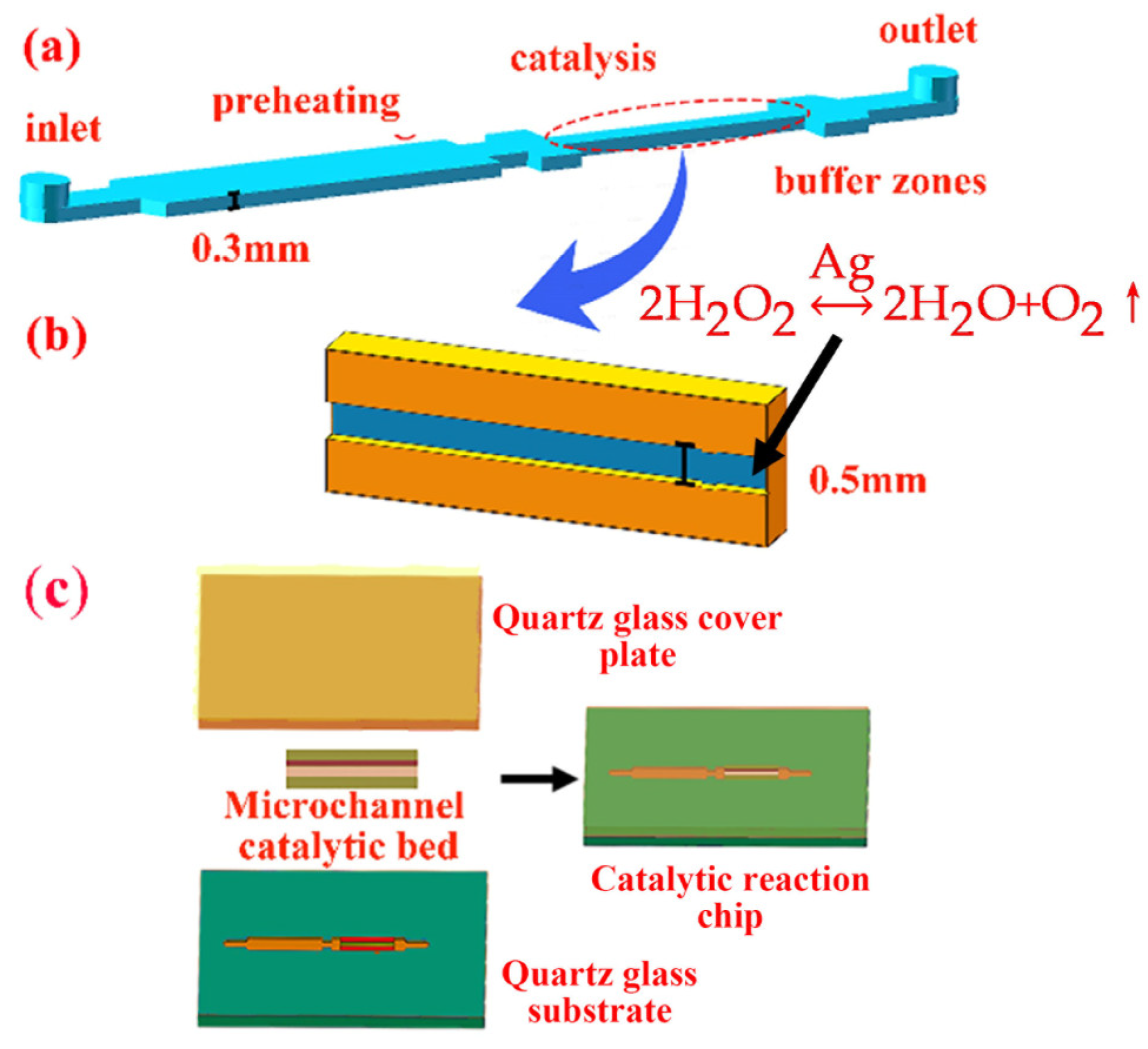 Catalysts 14 00039 g007
