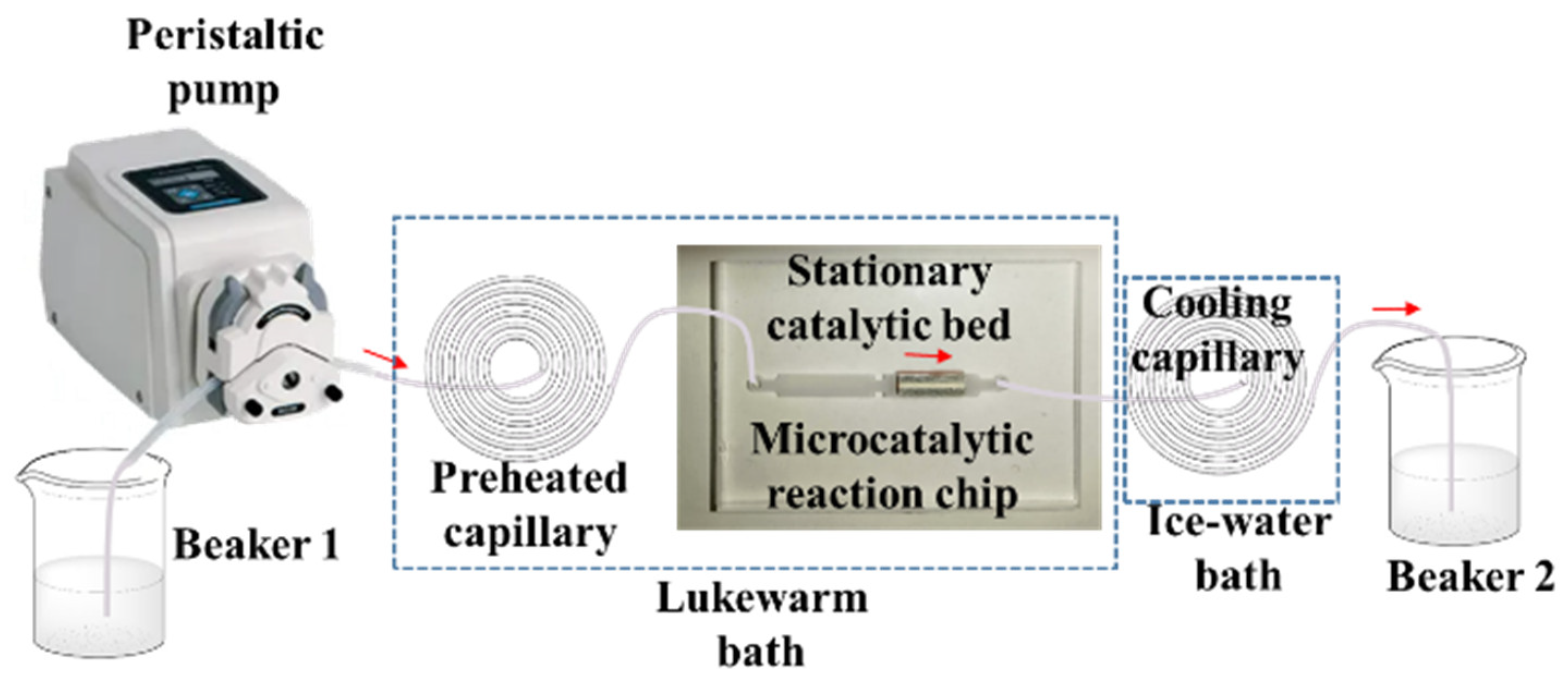 Catalysts 14 00039 g008