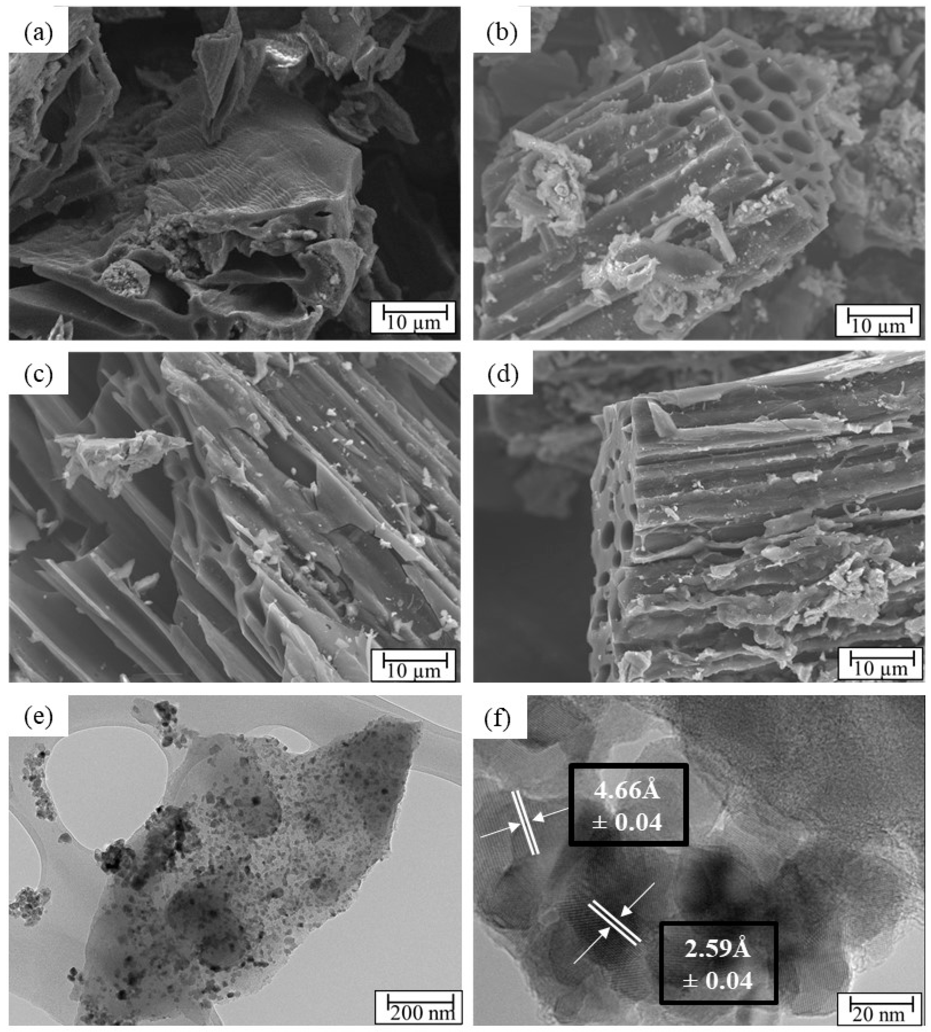 Catalysts 14 00043 g001