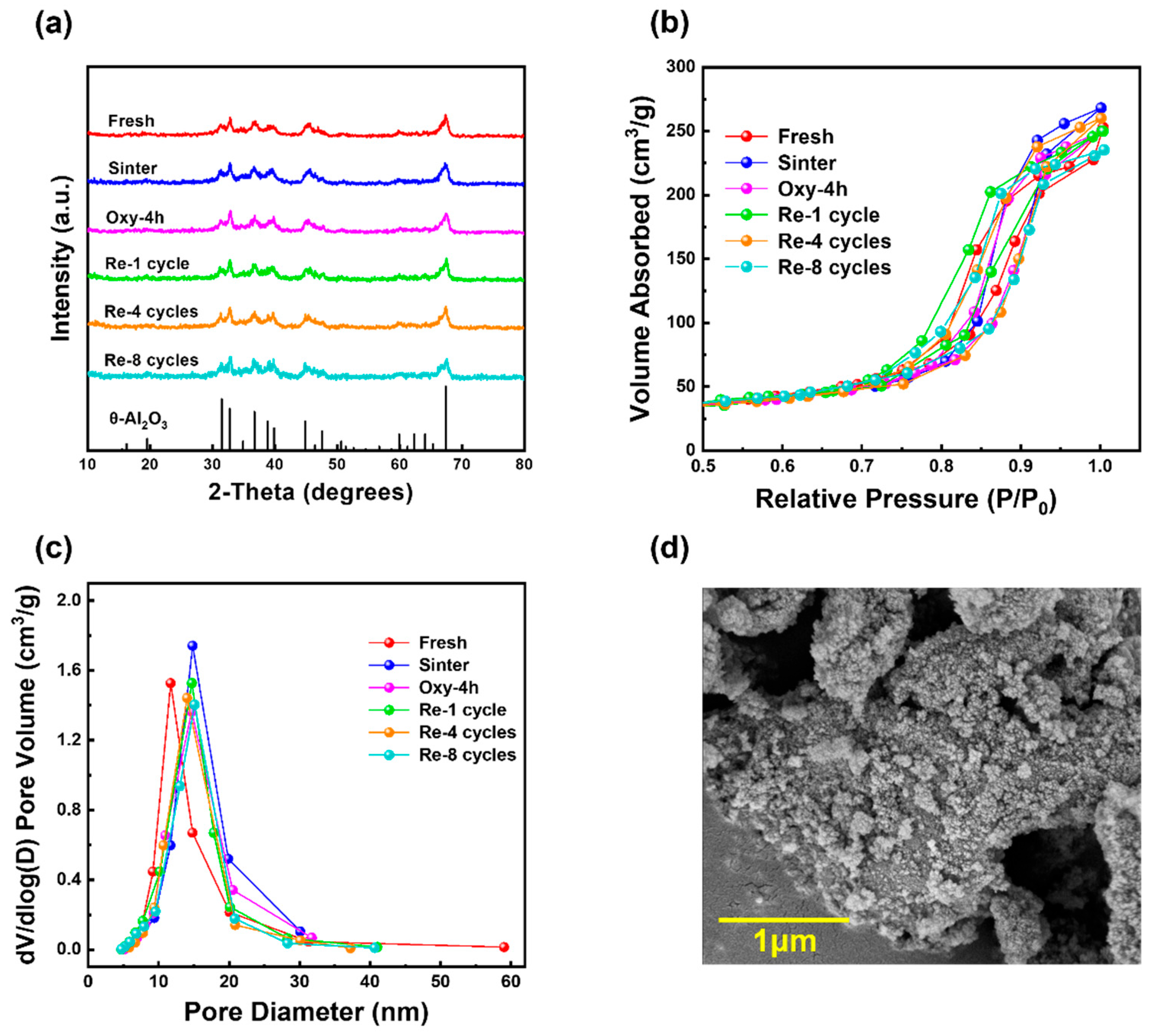 Catalysts 14 00048 g001