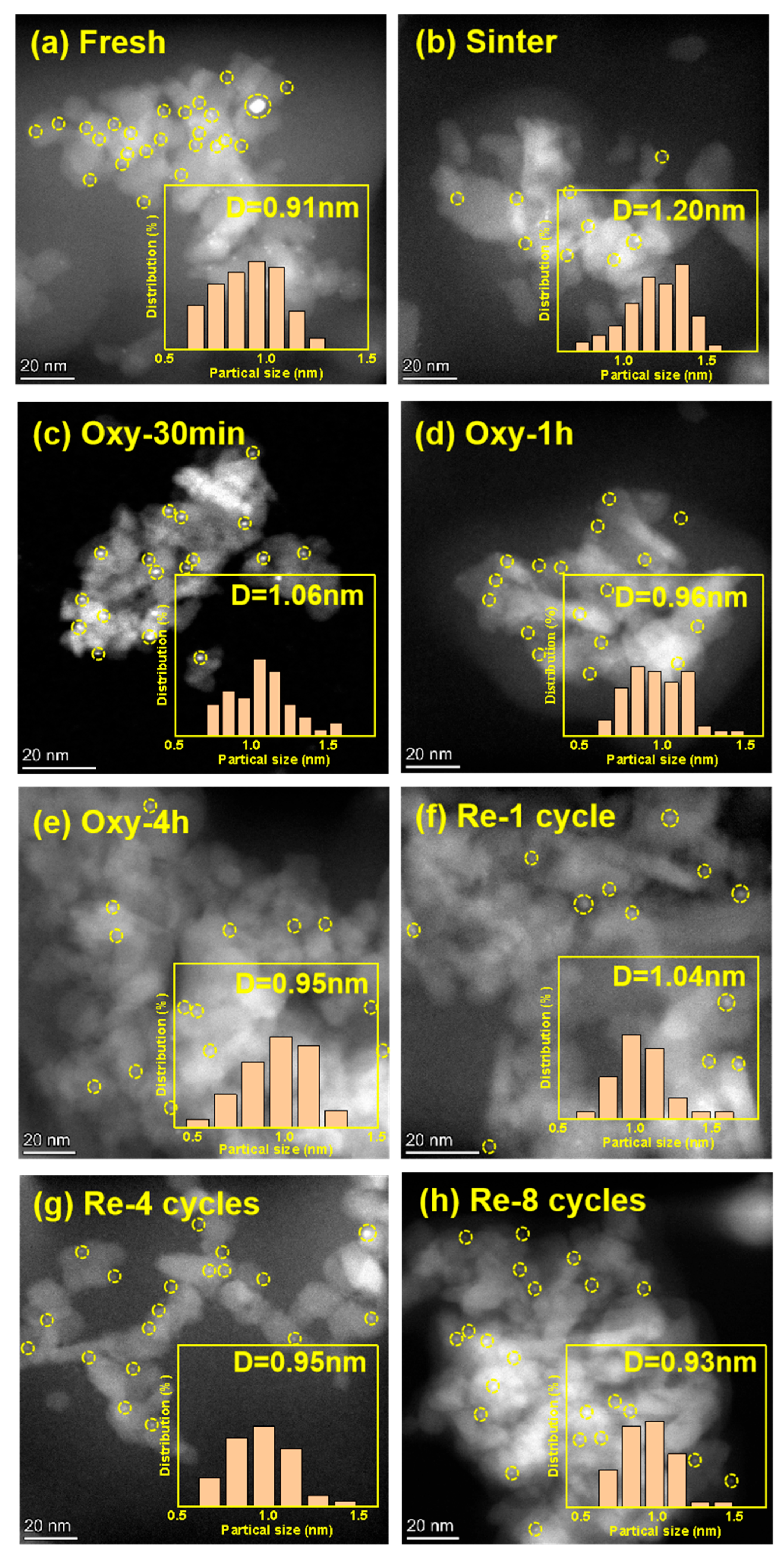 Catalysts 14 00048 g002