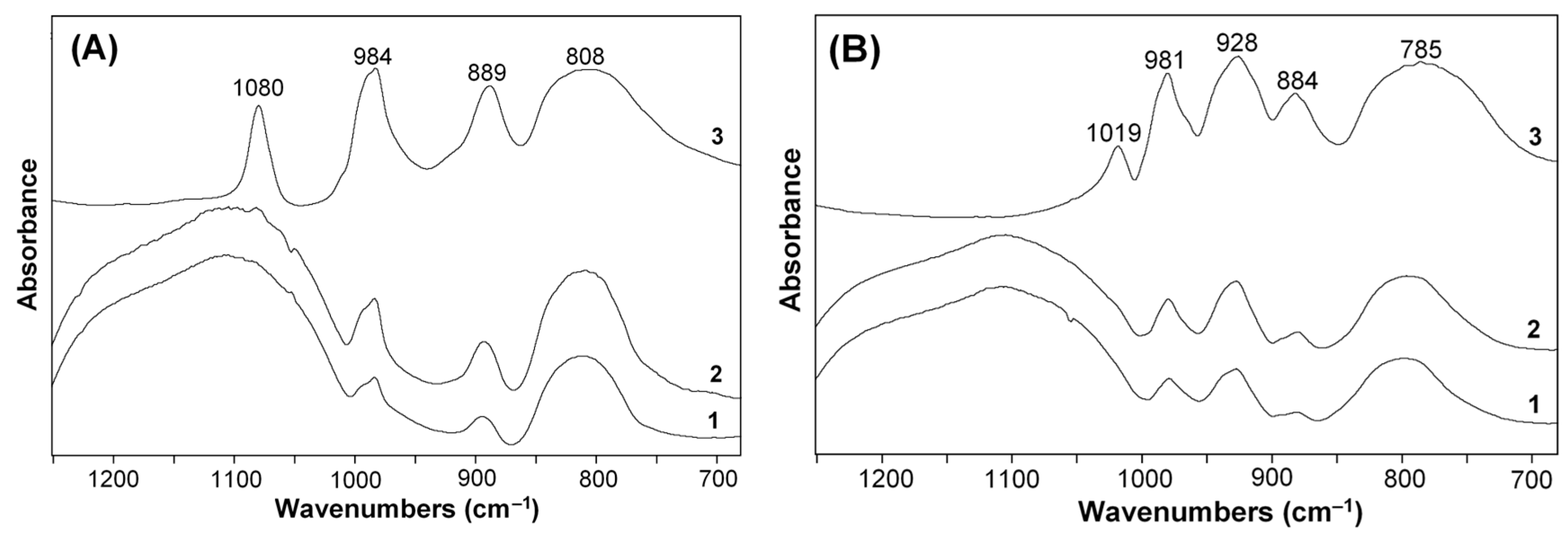 Catalysts 14 00051 g001