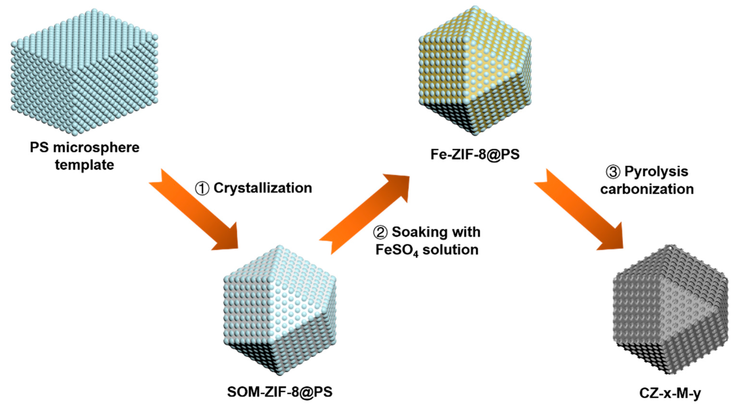 Catalysts 14 00055 g001