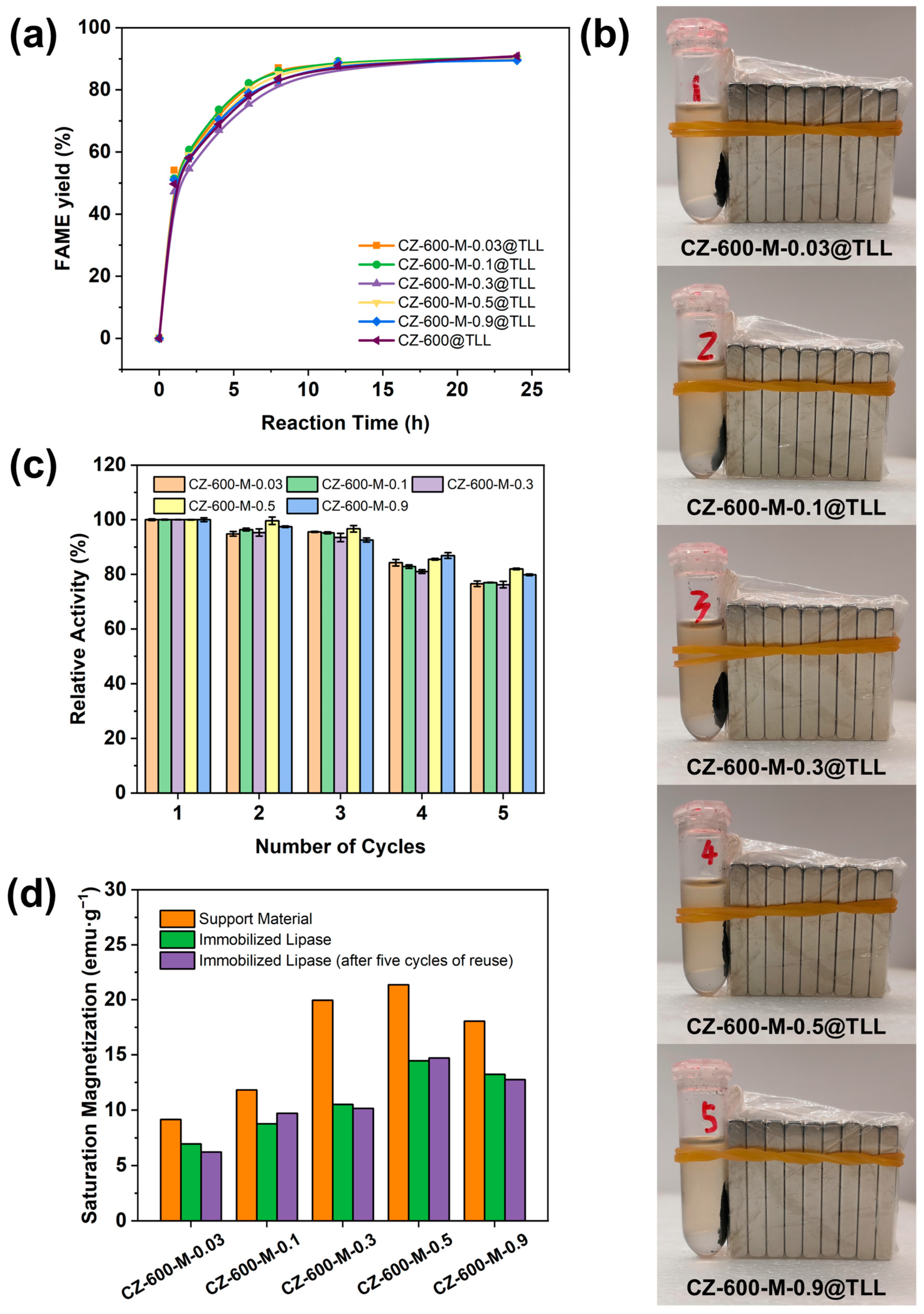 Catalysts 14 00055 g005