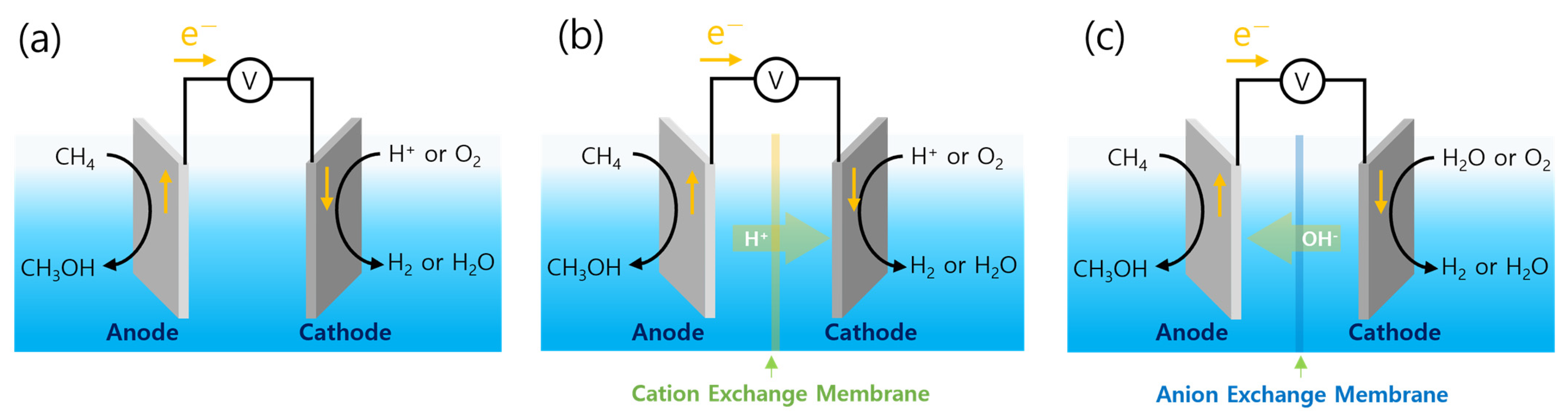 Catalysts 14 00058 g002
