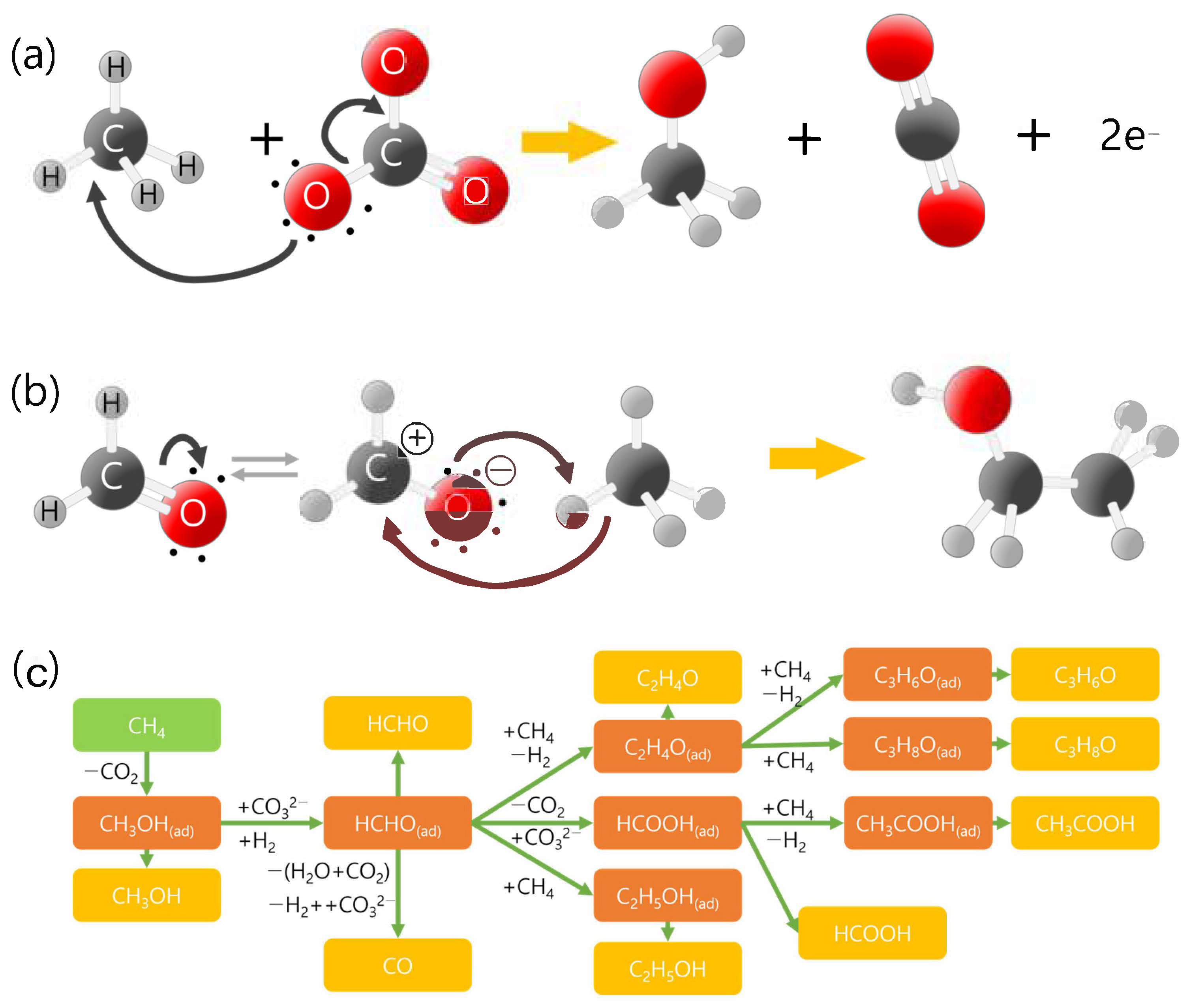 Catalysts 14 00058 g003