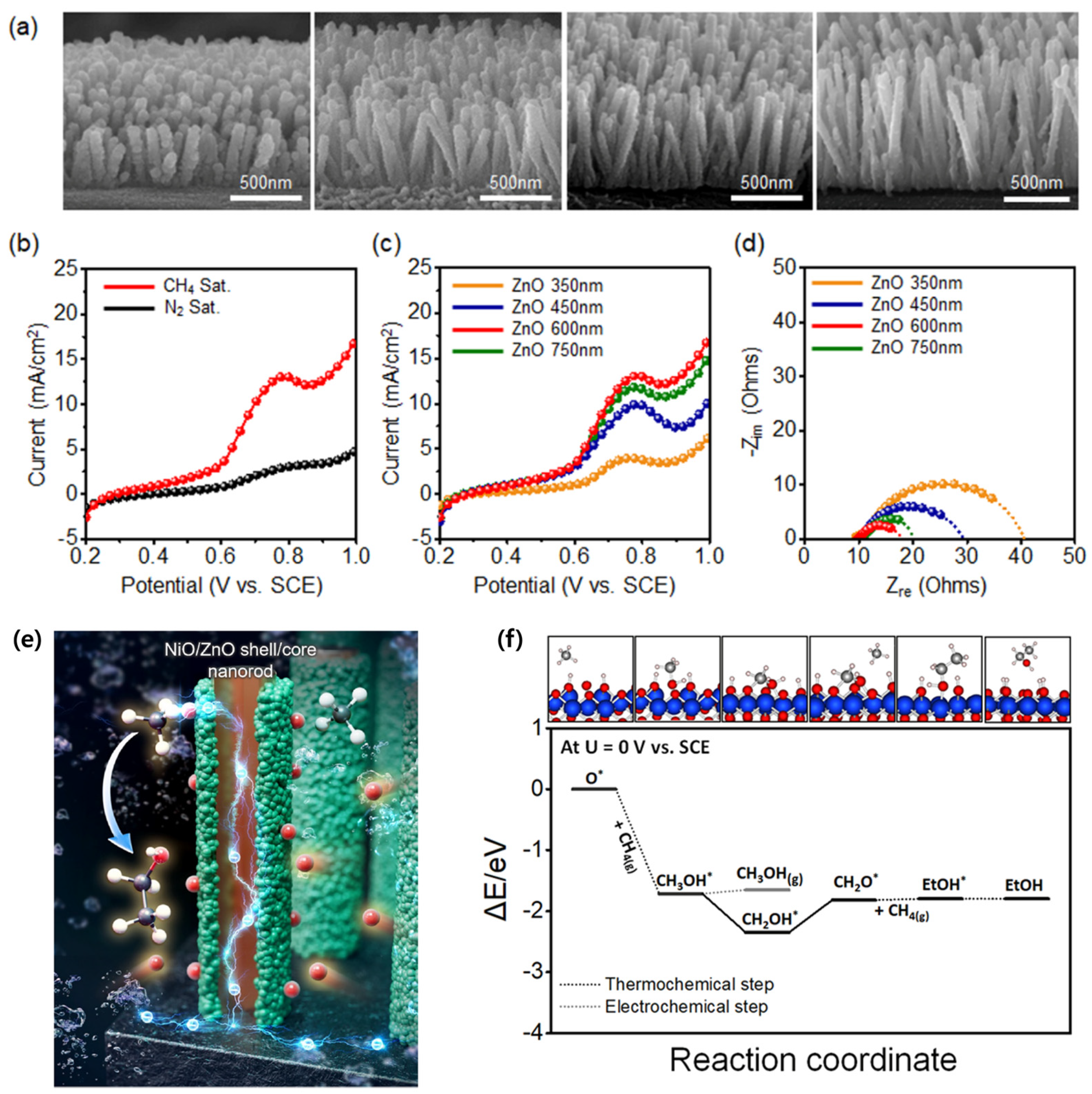 Catalysts 14 00058 g004