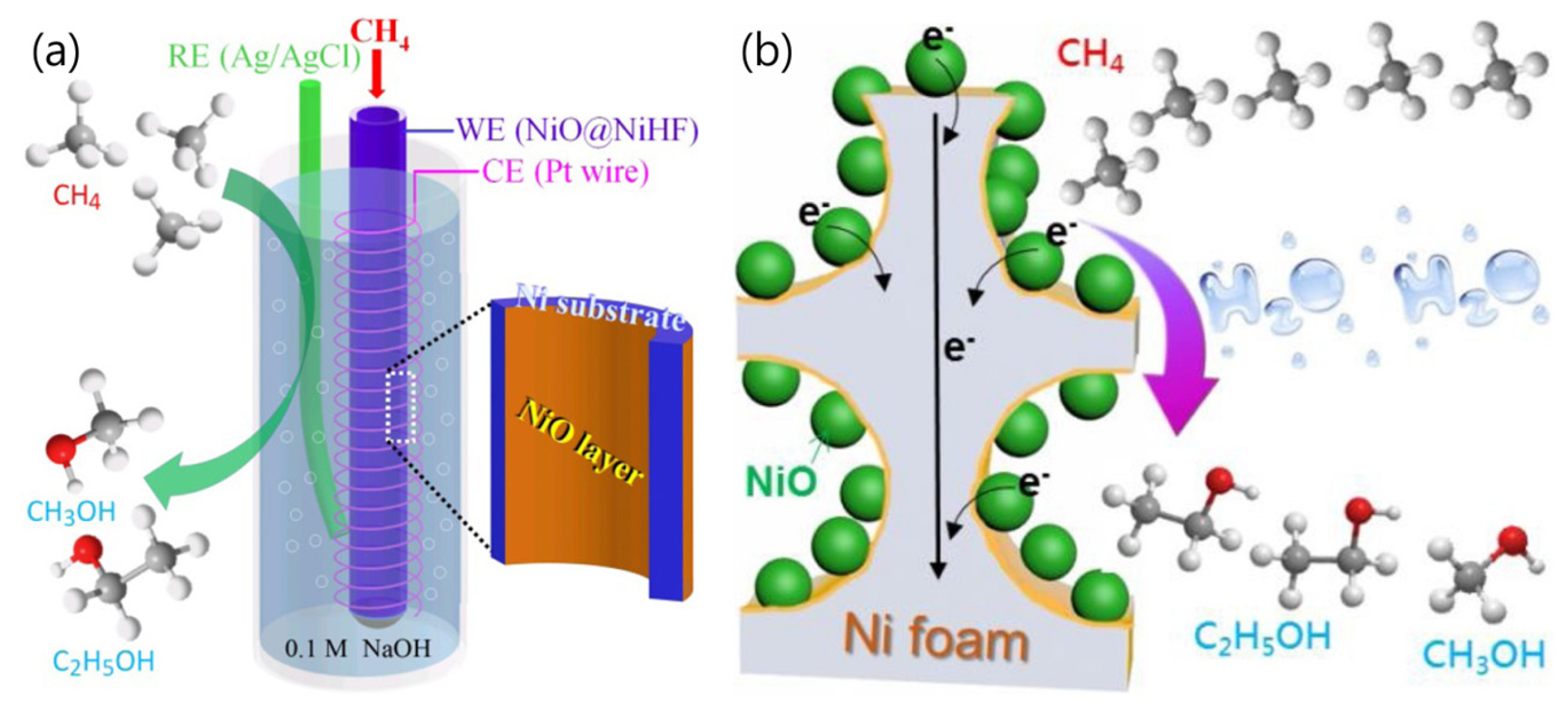 Catalysts 14 00058 g005
