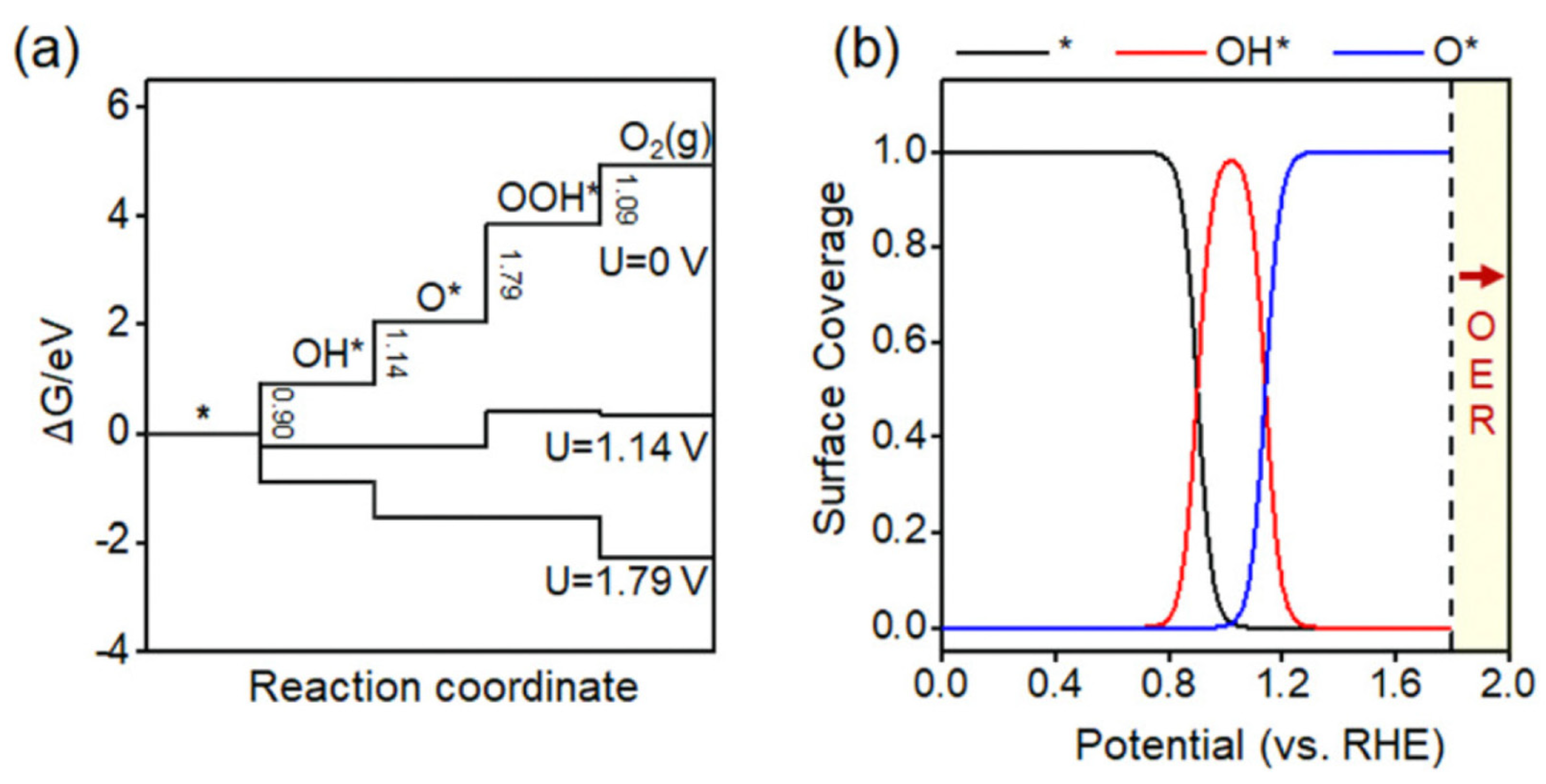 Catalysts 14 00058 g006