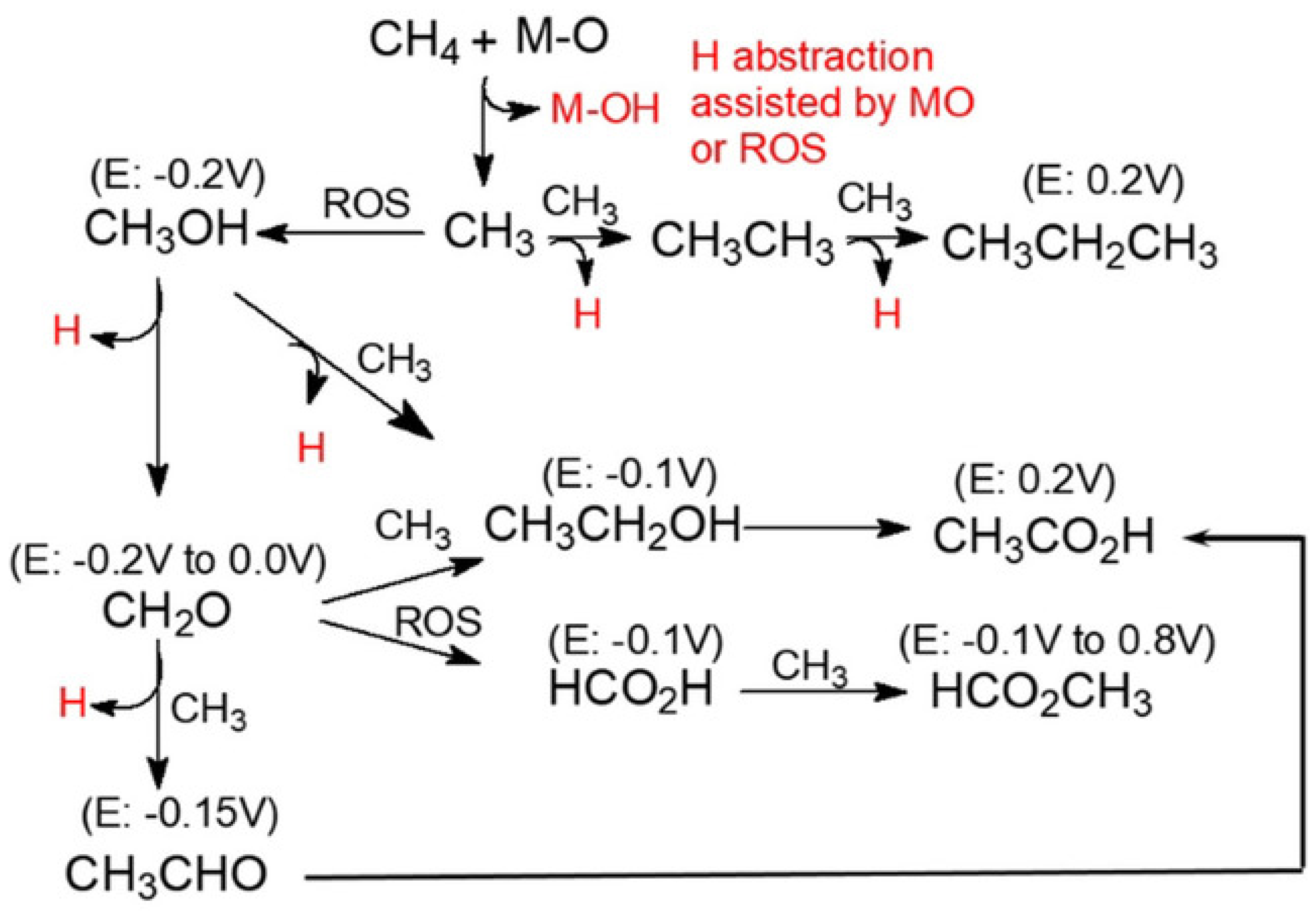 Catalysts 14 00058 g007