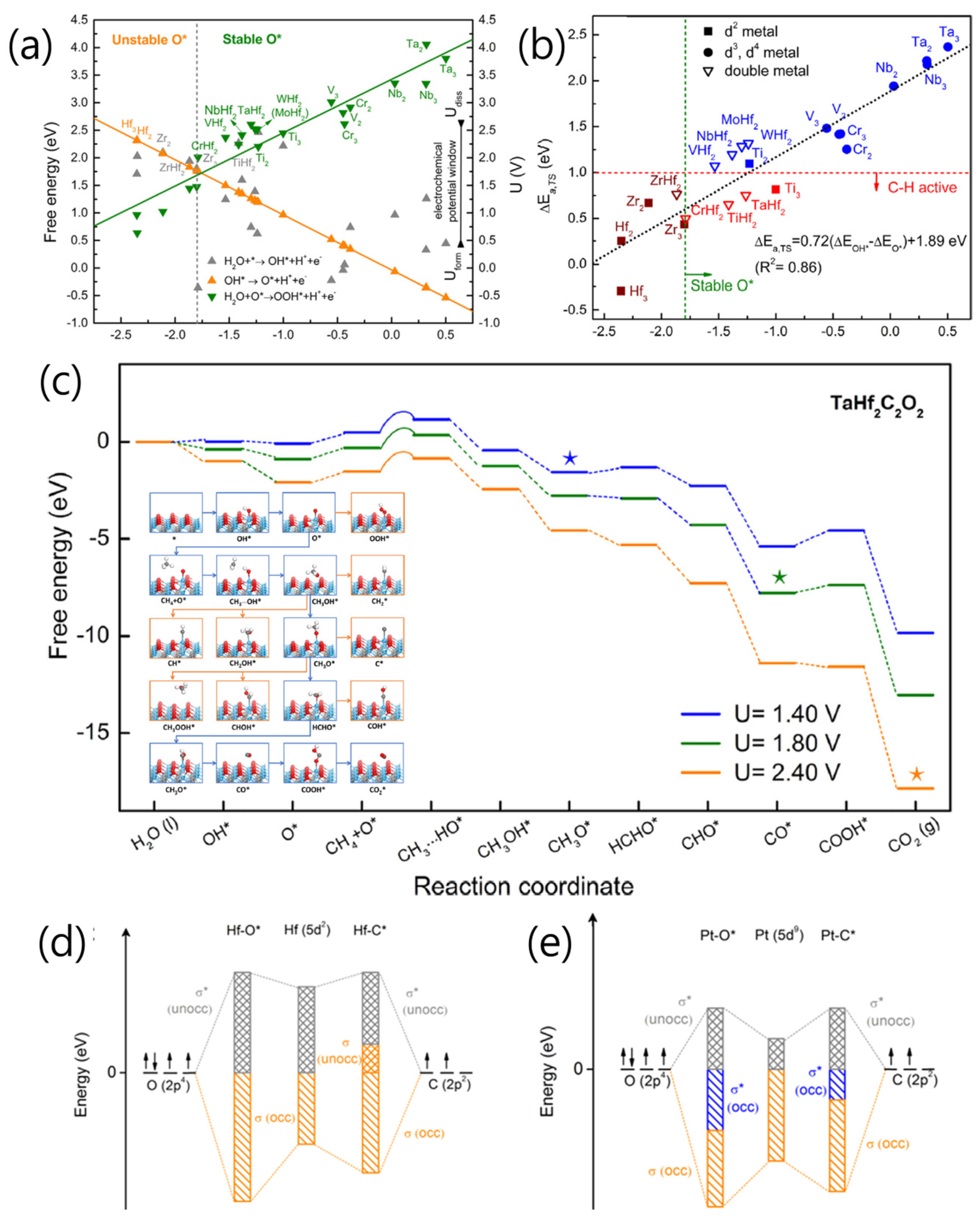 Catalysts 14 00058 g009