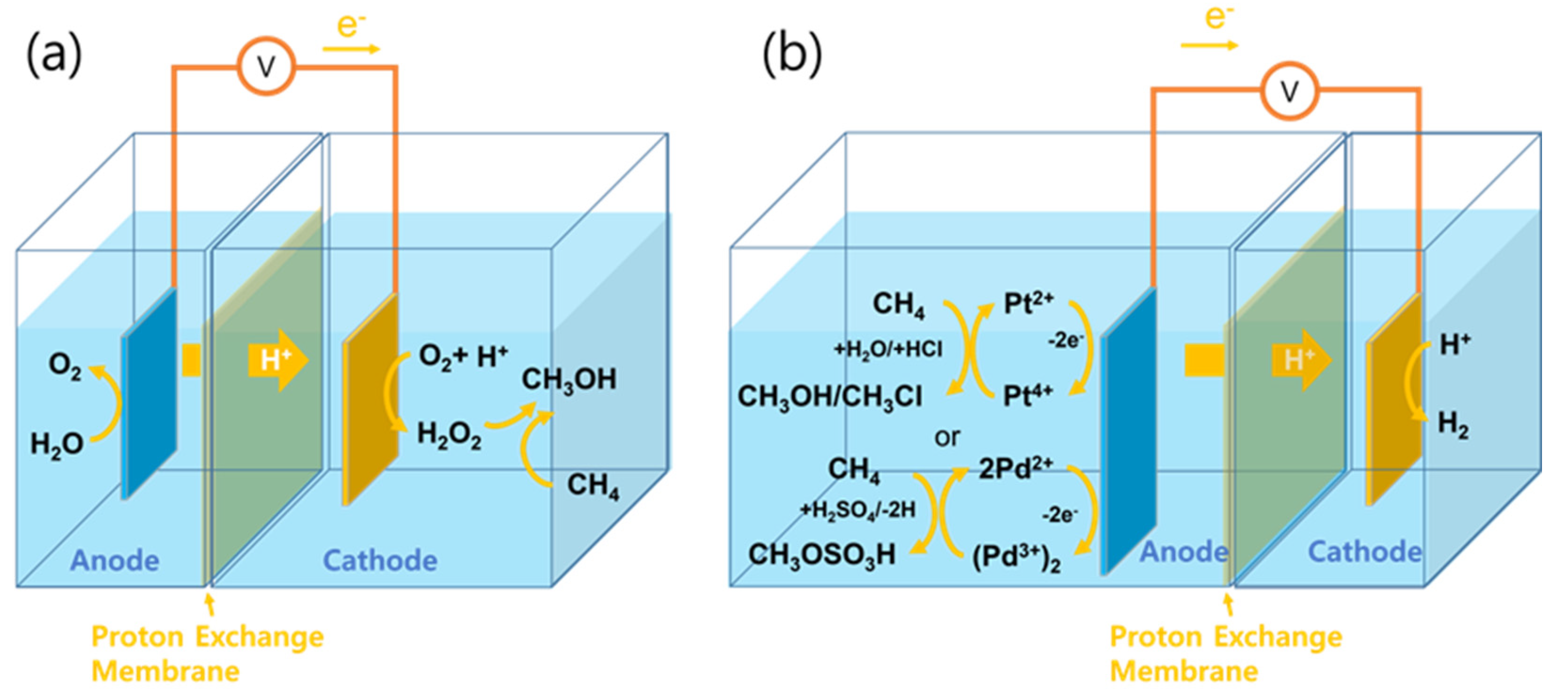 Catalysts 14 00058 g010