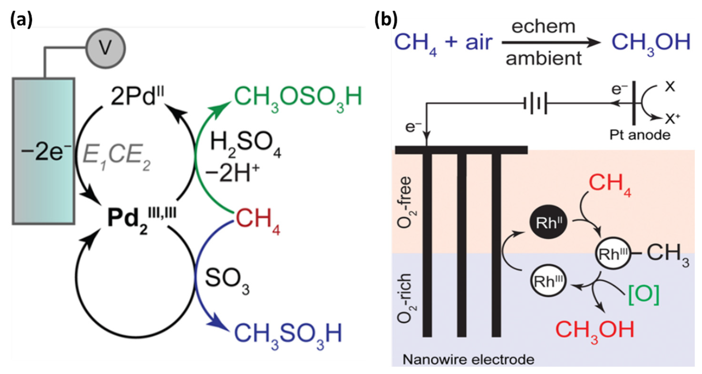 Catalysts 14 00058 g011