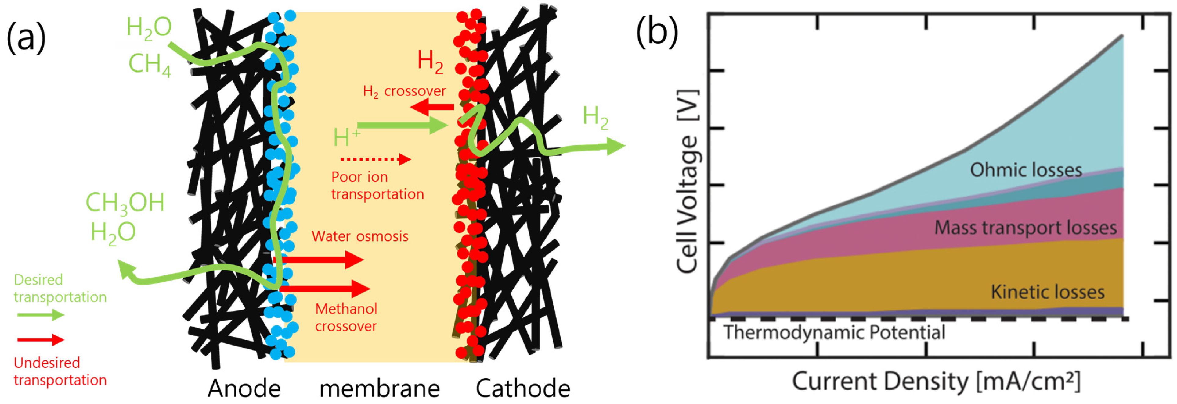 Catalysts 14 00058 g014