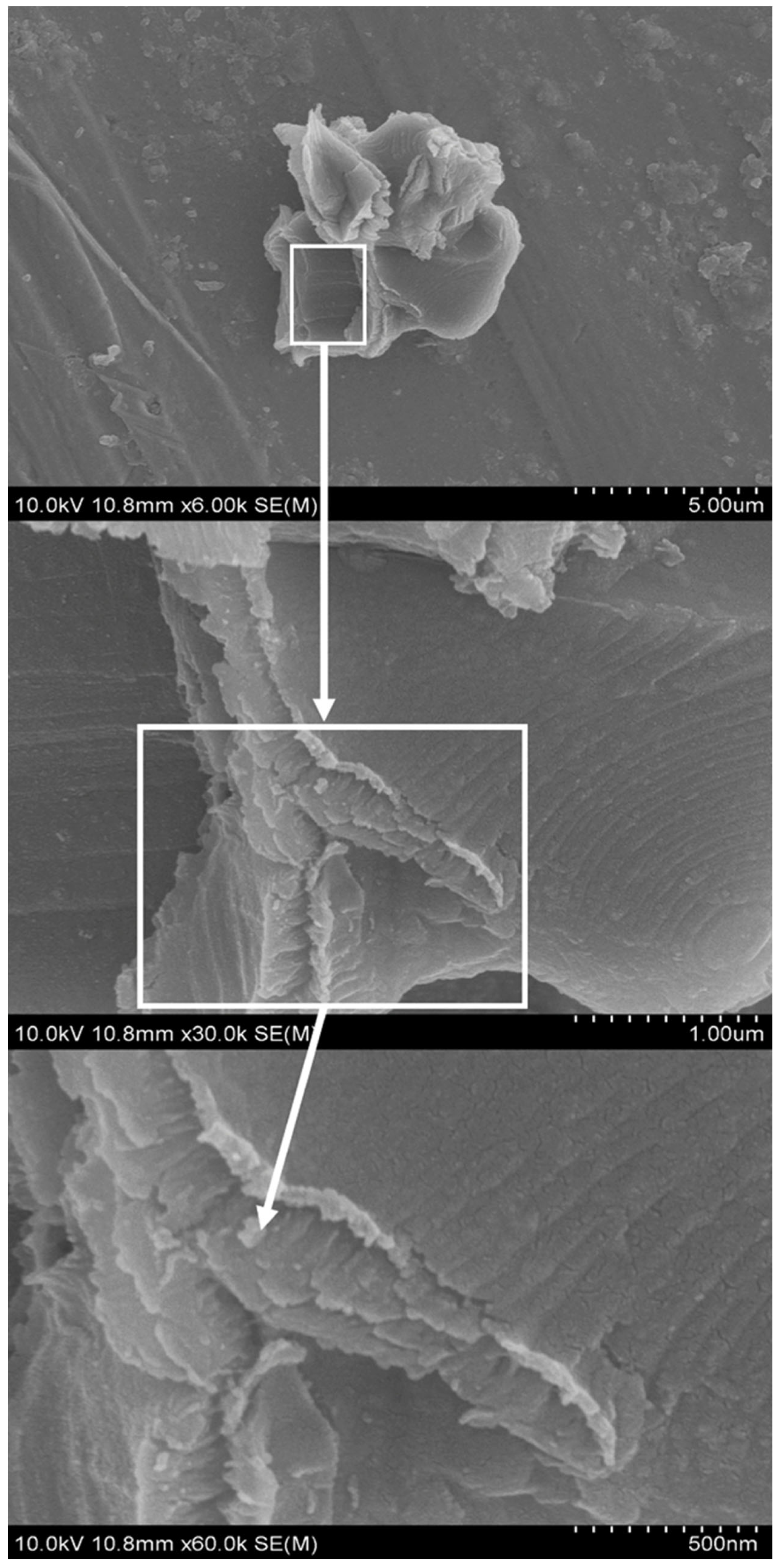 Catalysts 14 00059 g007 Catalysts 14 00059 g007
