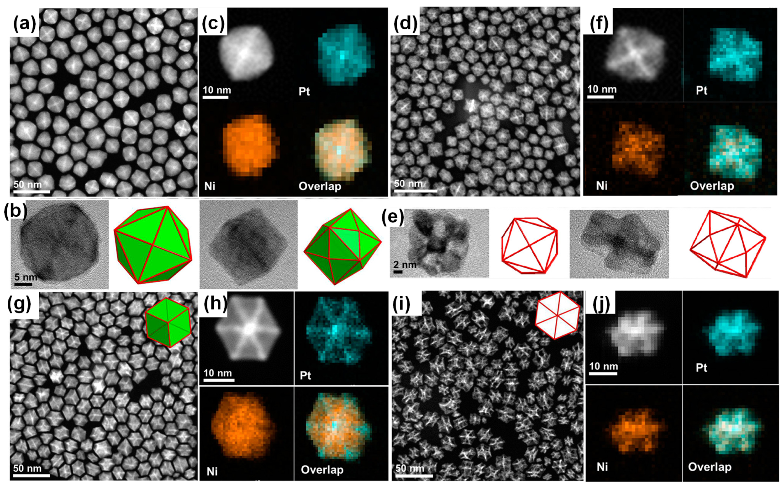Catalysts 14 00060 g005 Catalysts 14 00060 g005