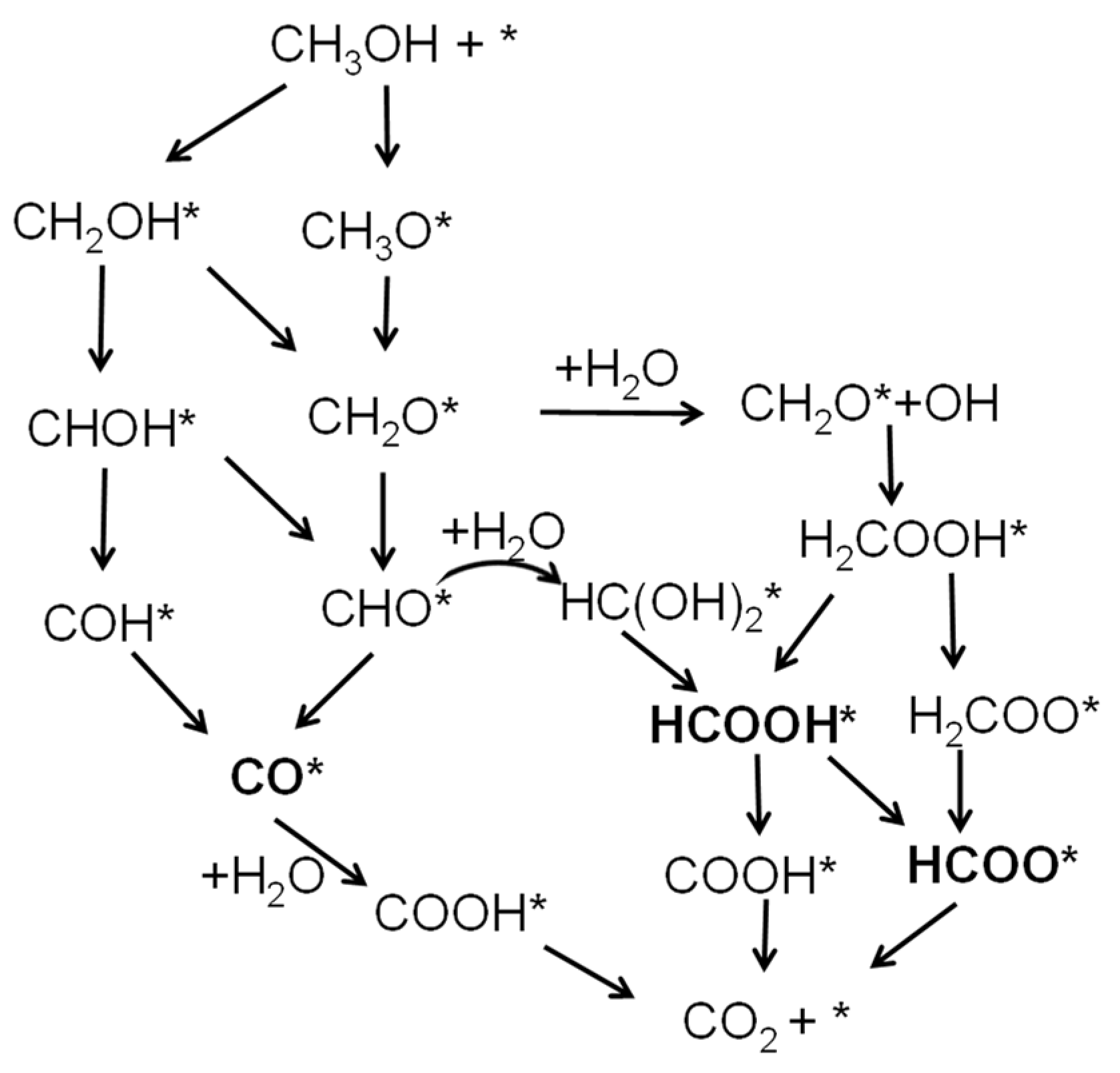 Catalysts 14 00060 sch001 Catalysts 14 00060 sch001