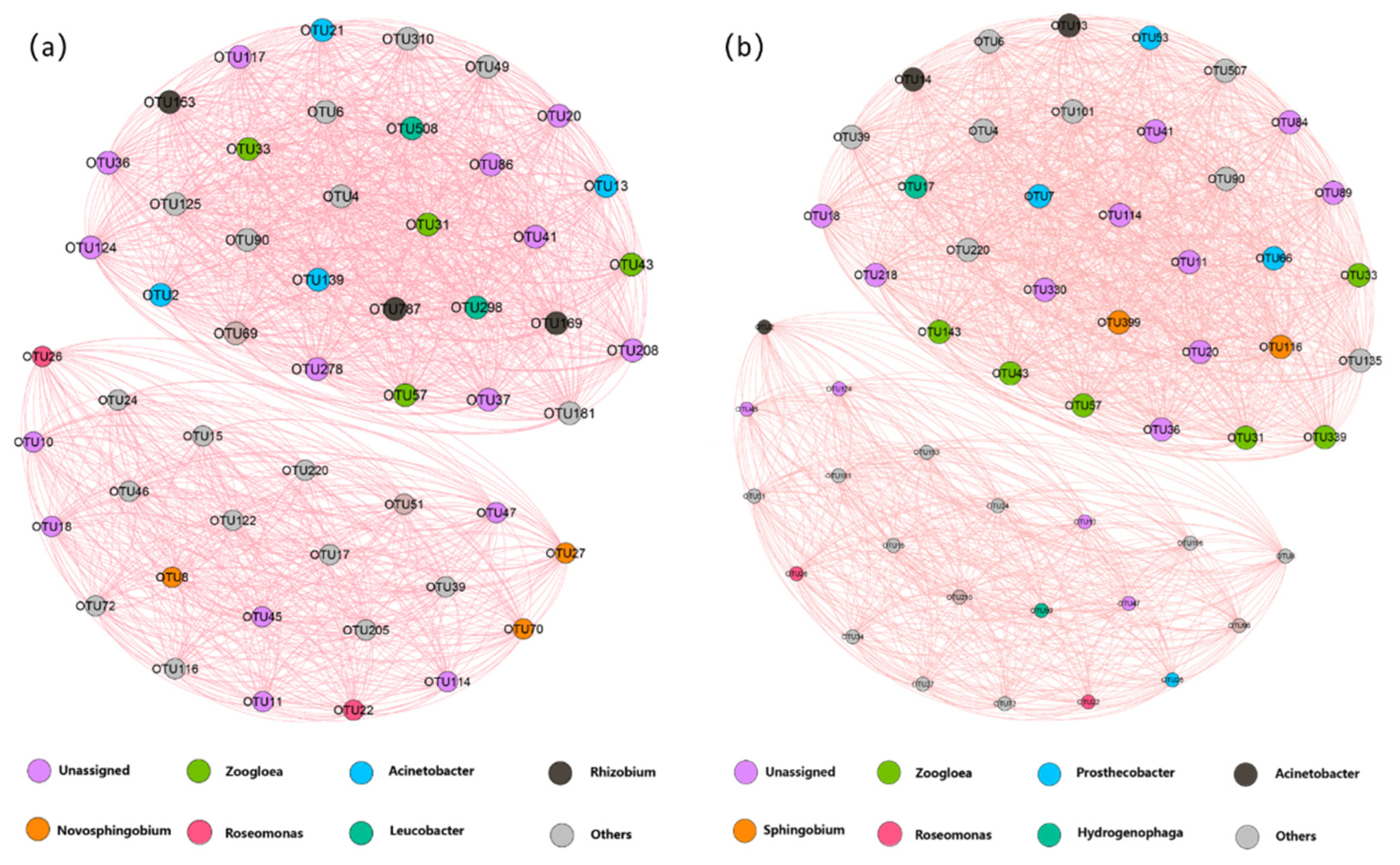 Catalysts 14 00064 g006
