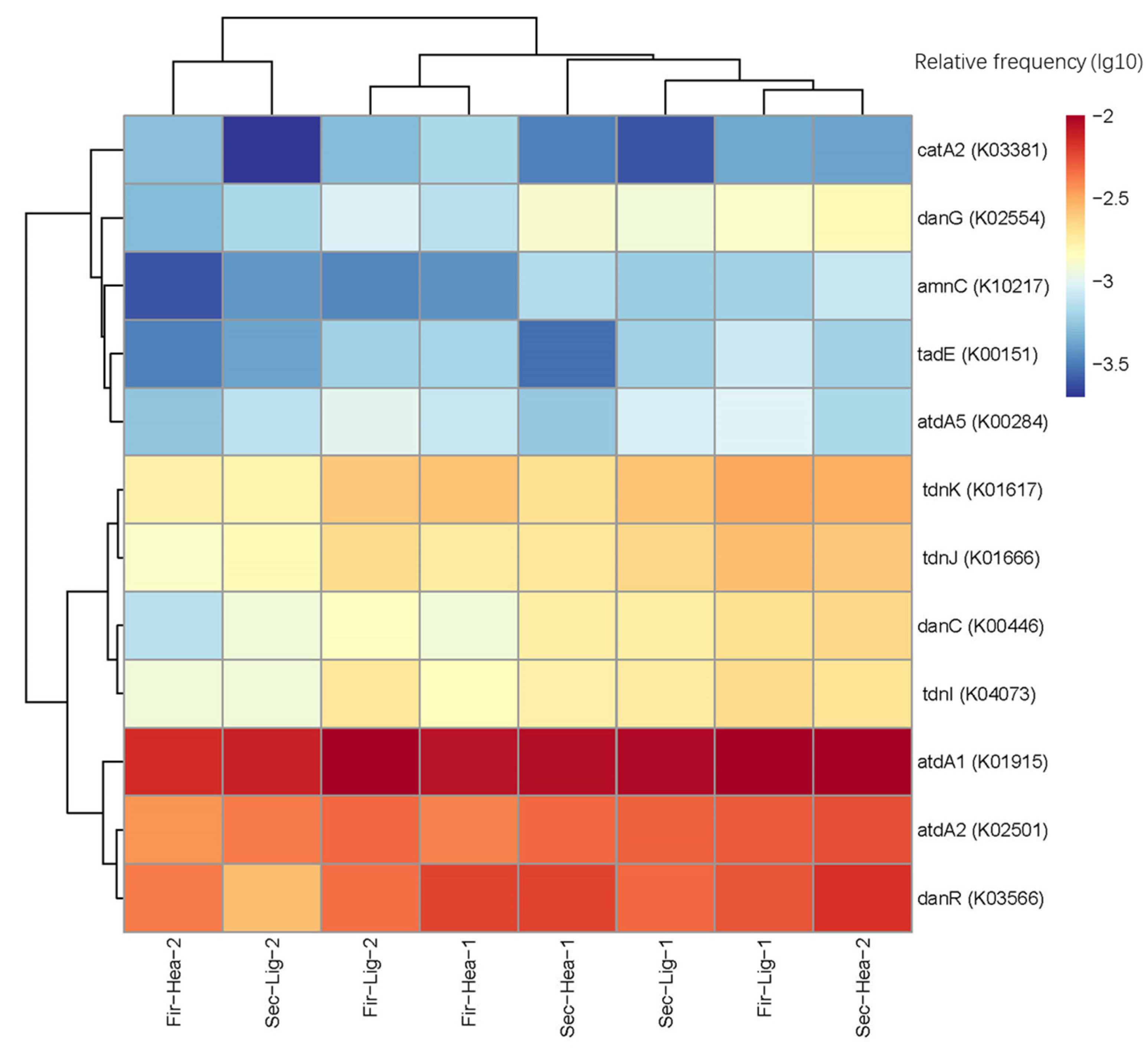 Catalysts 14 00064 g007