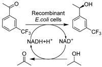 Catalysts 14 00084 i014