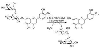 Catalysts 14 00084 i030