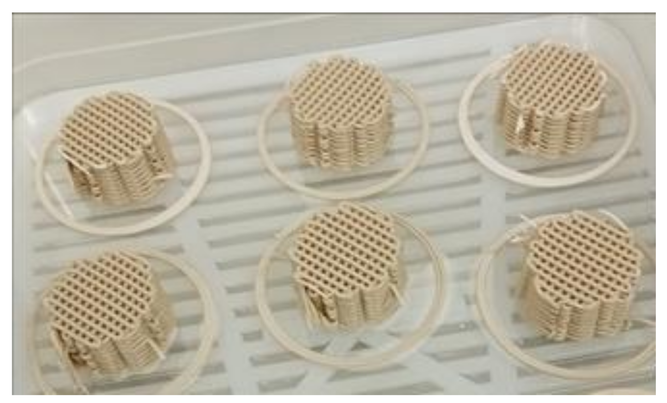 Catalysts 14 00085 g002 Catalysts 14 00085 g002