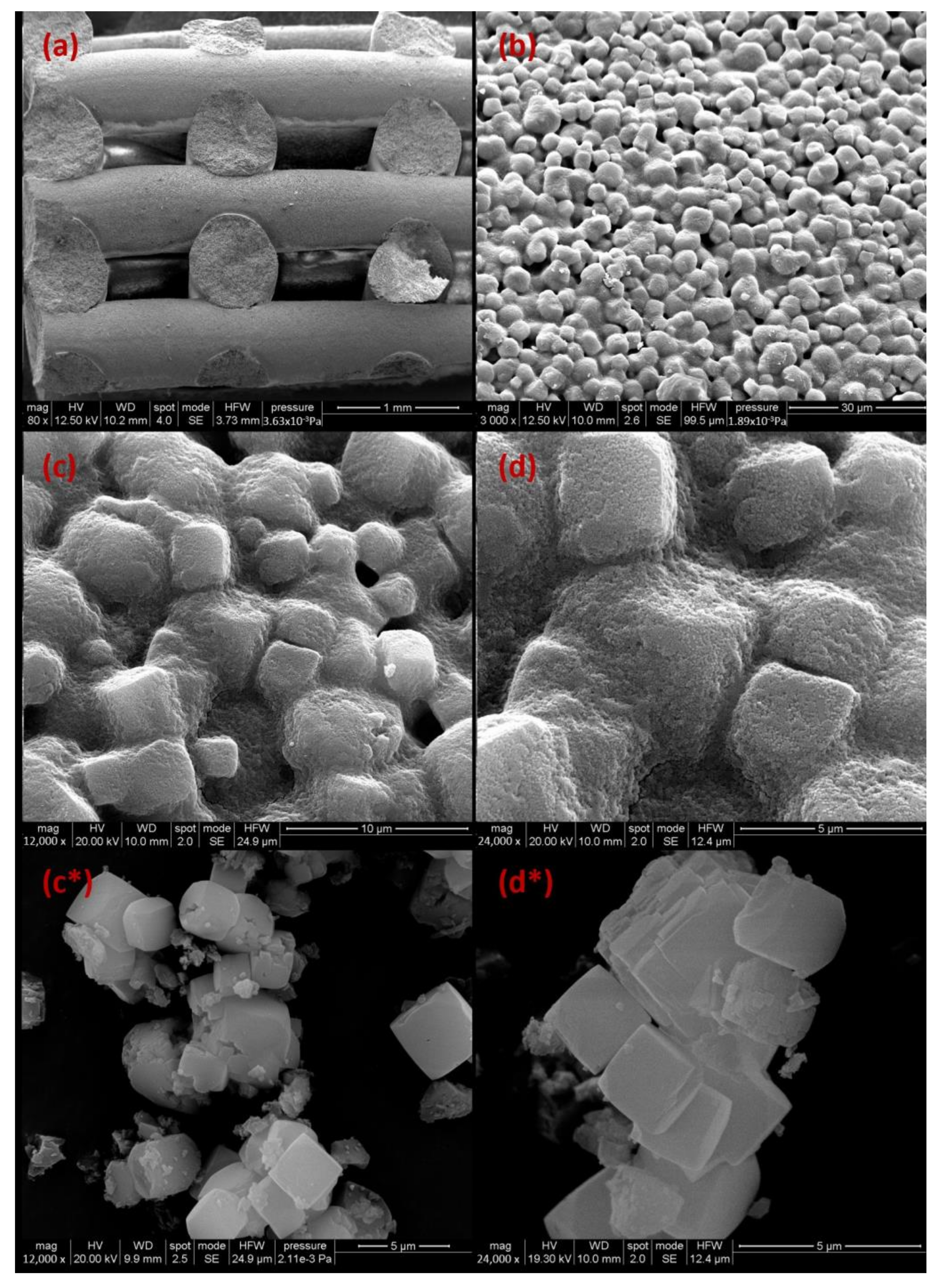 Catalysts 14 00085 g004 Catalysts 14 00085 g004
