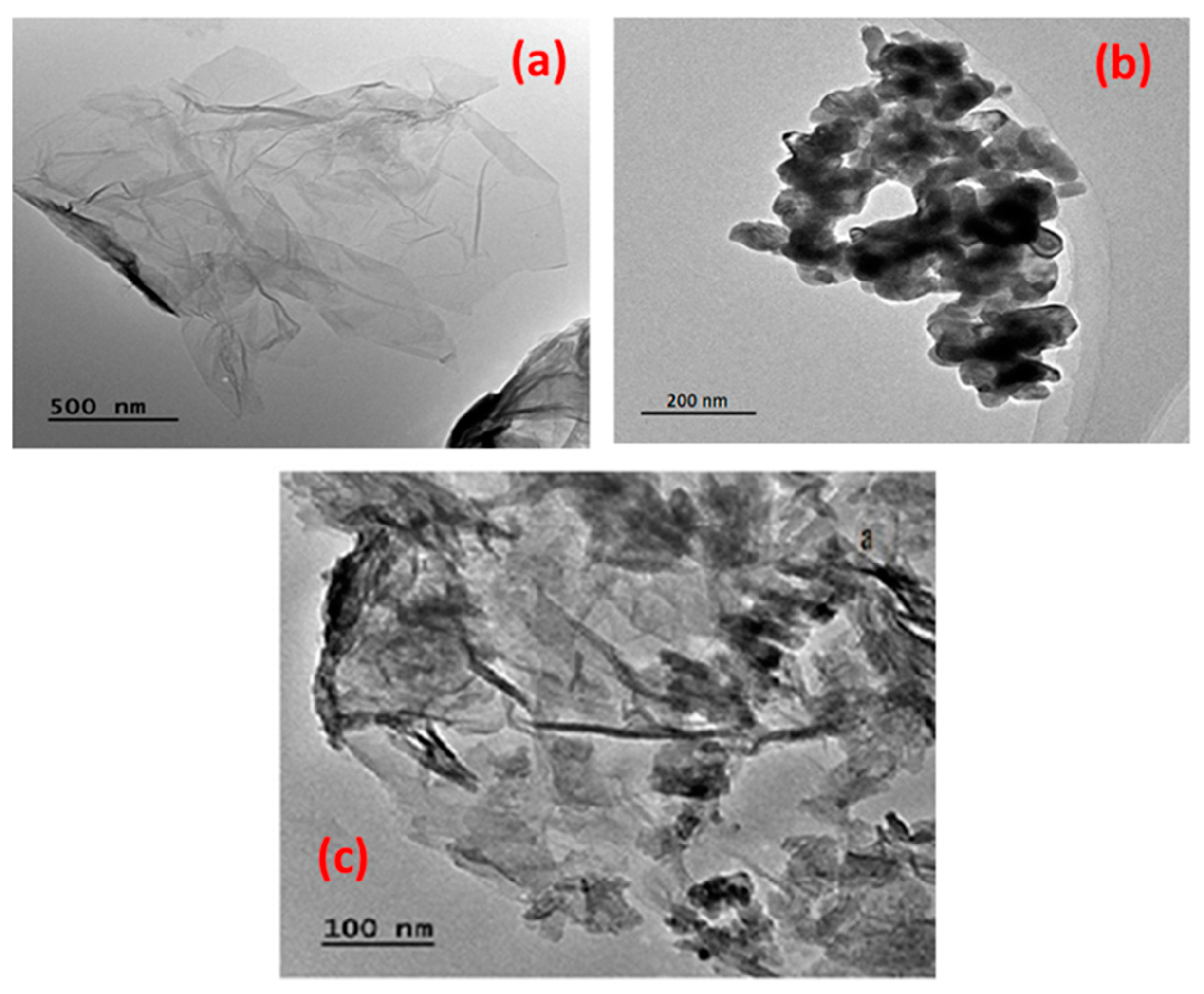 Catalysts 14 00096 g003