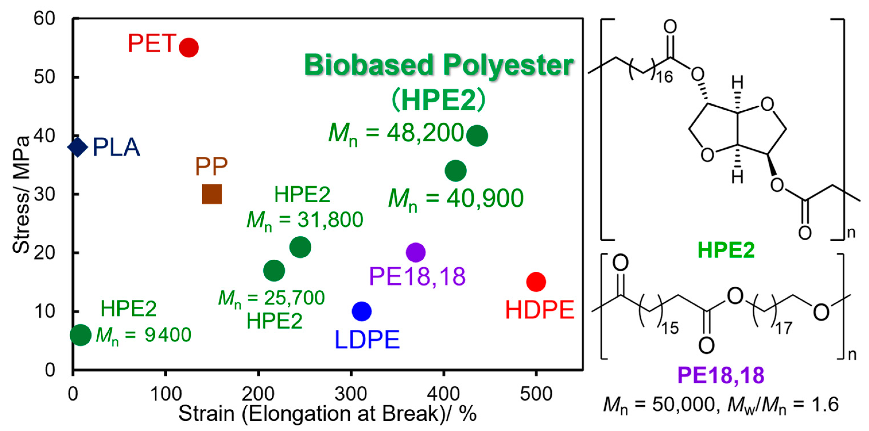 Catalysts 14 00097 g003