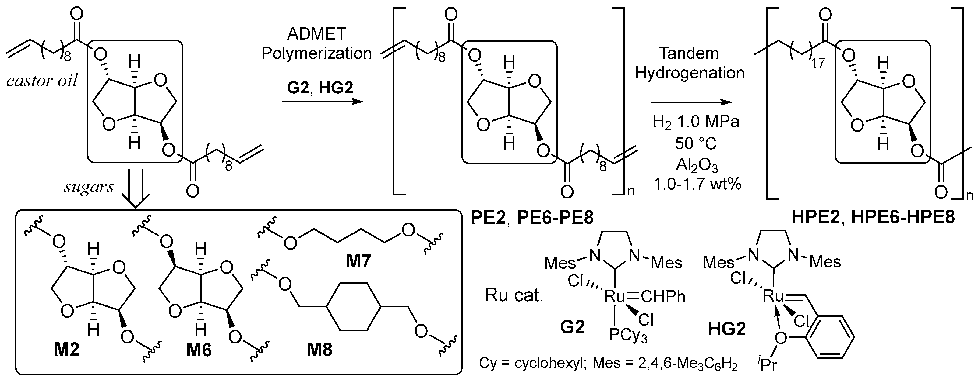 Catalysts 14 00097 sch005