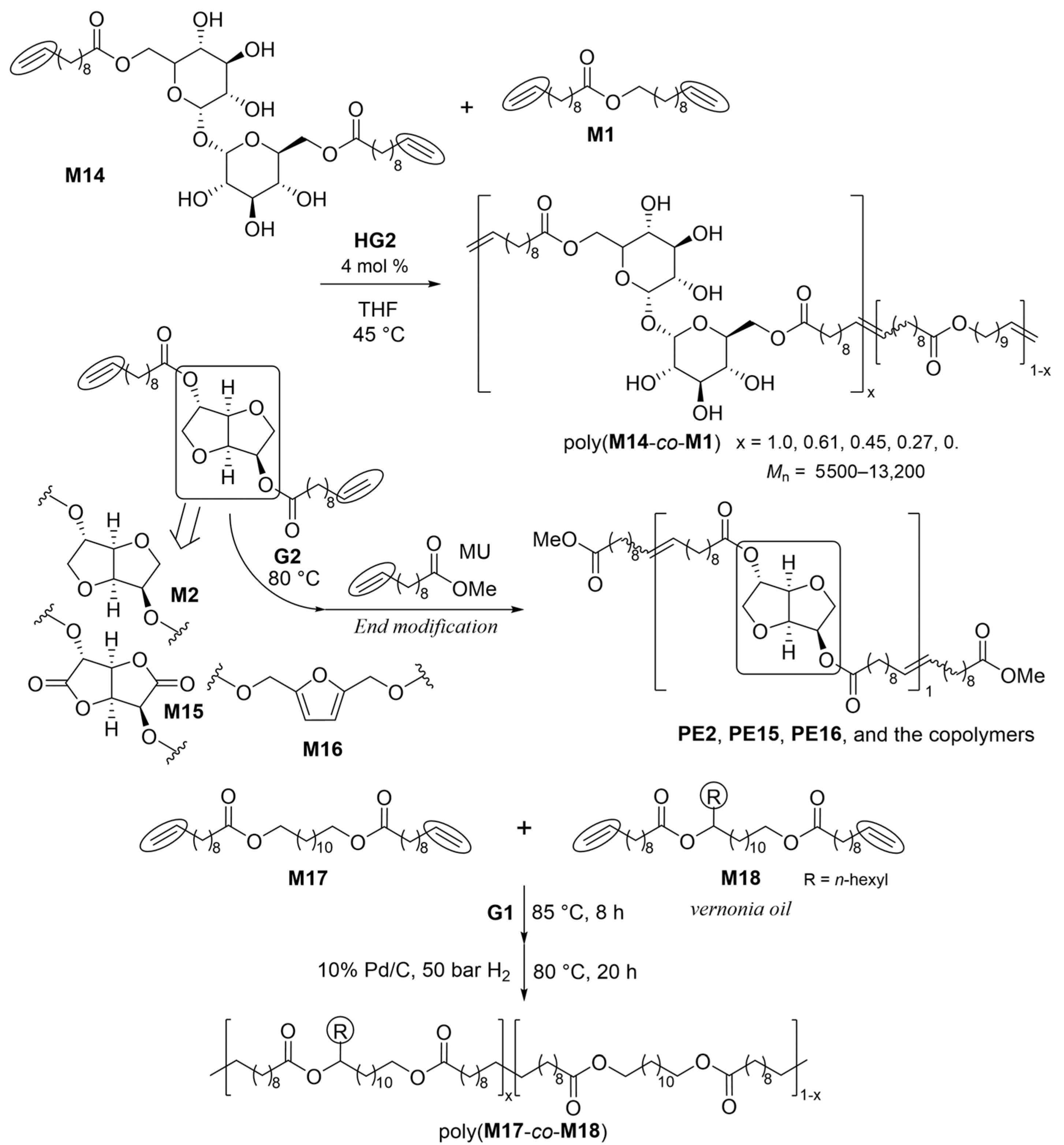 Catalysts 14 00097 sch008