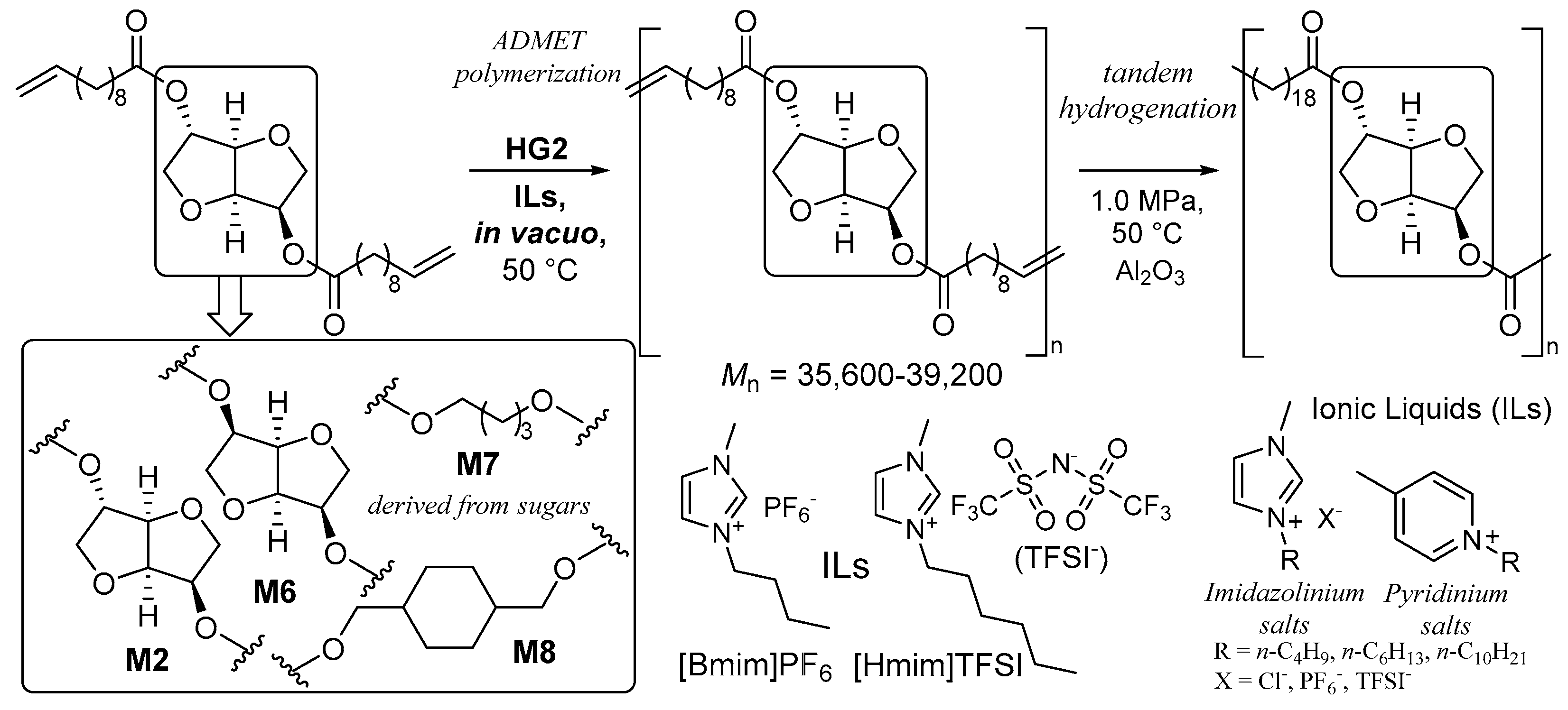 Catalysts 14 00097 sch010